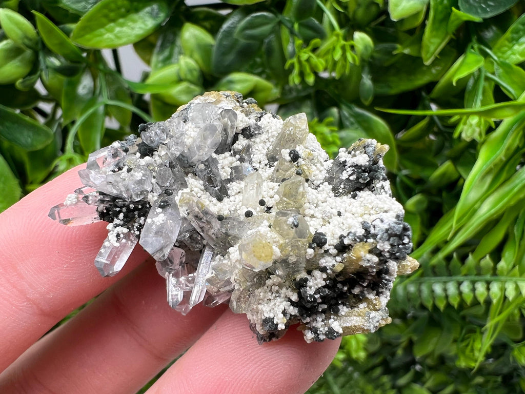 Chlorite Epidote Quartz Specimen, Borieva Mine, Bulgaria