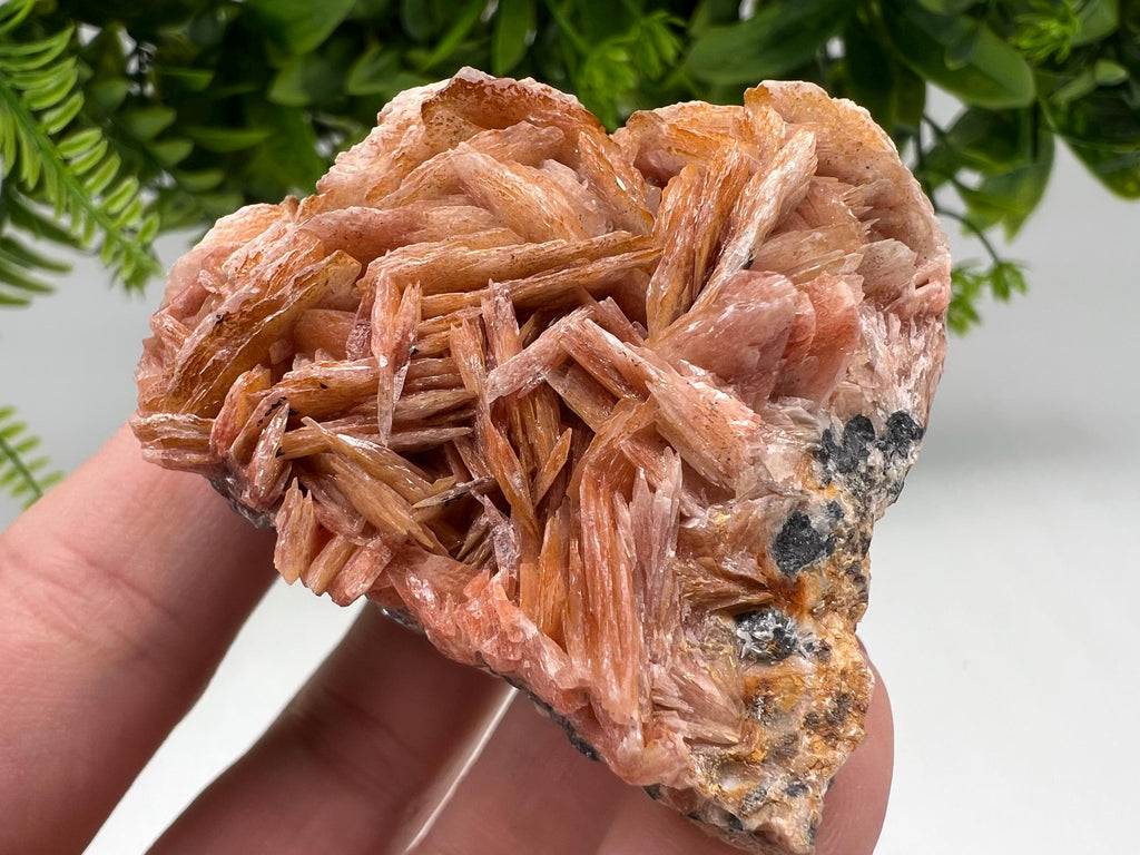 Wonderful Baryte with Cerussite on Galena from Morocco,Crystal, Mineral,Specimen,Cluster,Crystals,Barite Crystal,Cerussite Crystal,Specimen