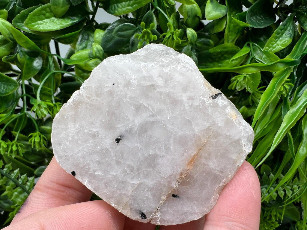 Black Tourmaline in Quartz Polished Slab