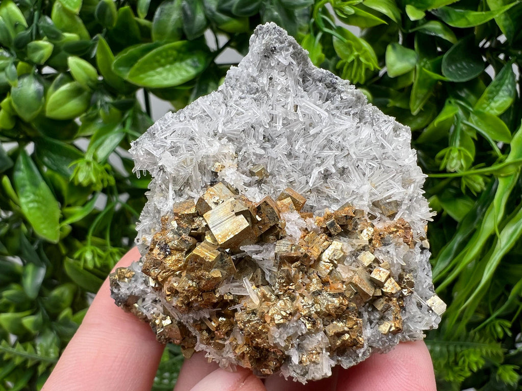 Pyrite on Green Quartz Mineral Specimen, Borieva Bulgaria