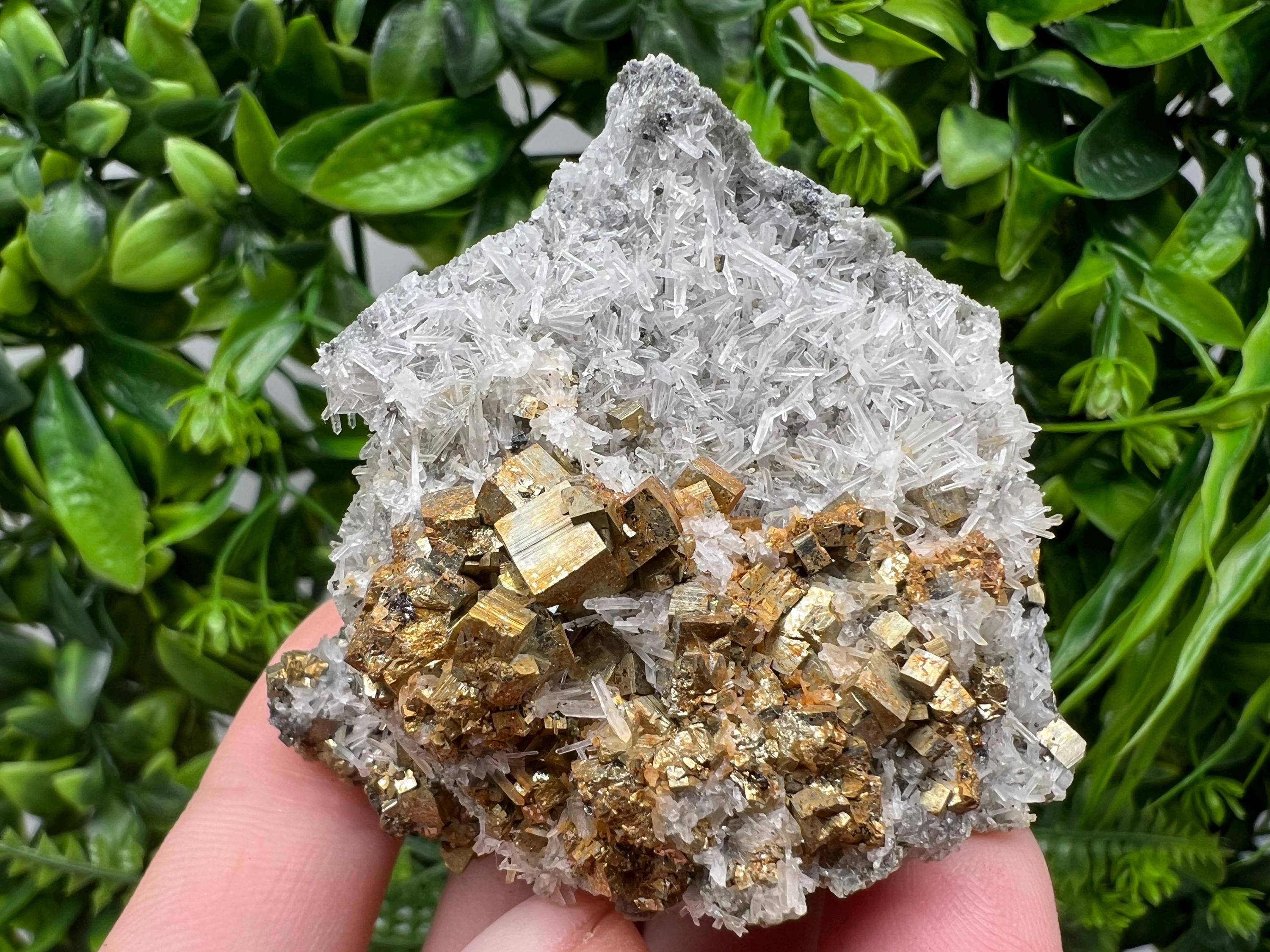 Pyrite on Green Quartz Mineral Specimen, Borieva Bulgaria
