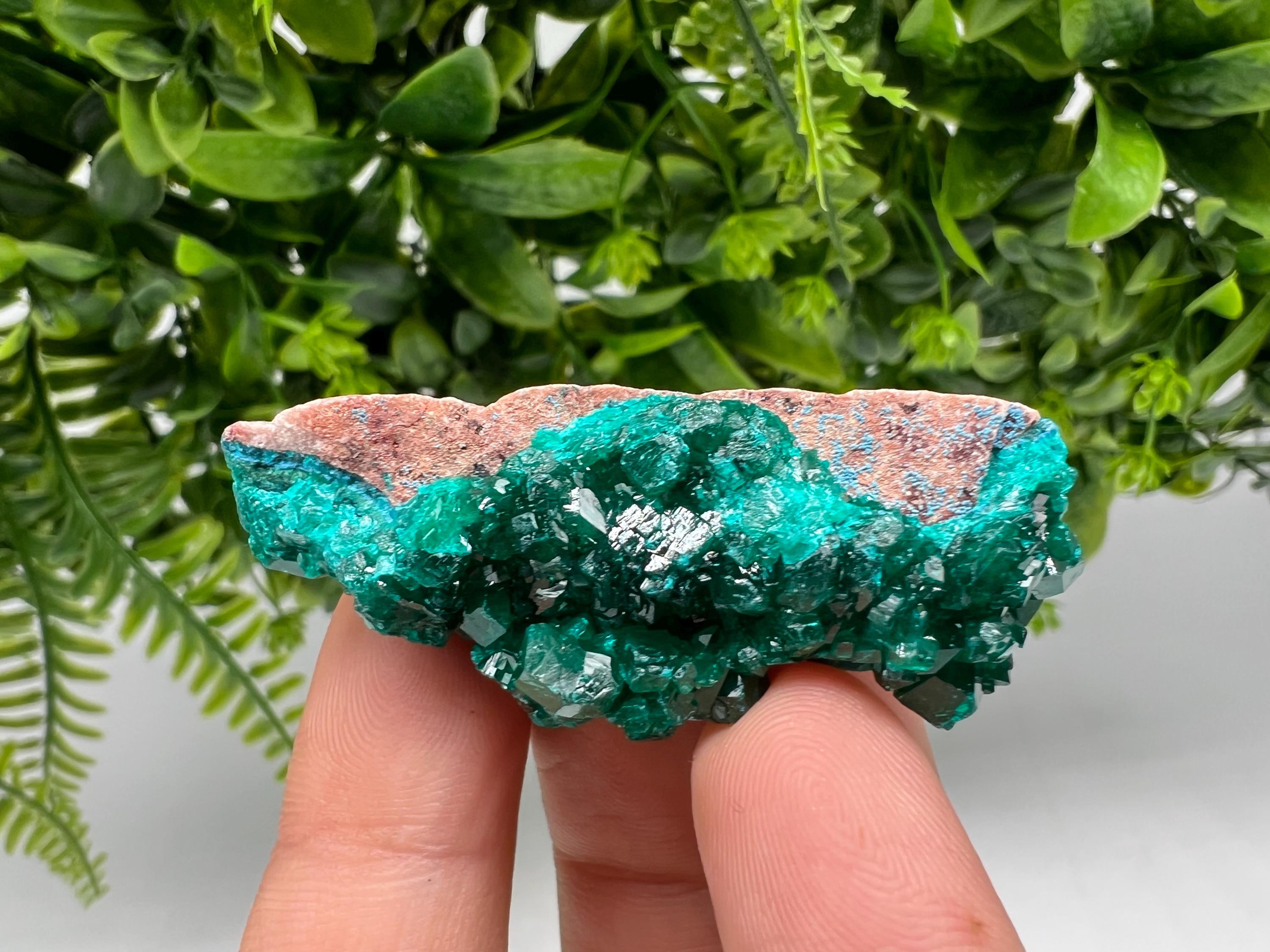 Green Dioptase Crystal Cluster: Sanda Hills, Congo
