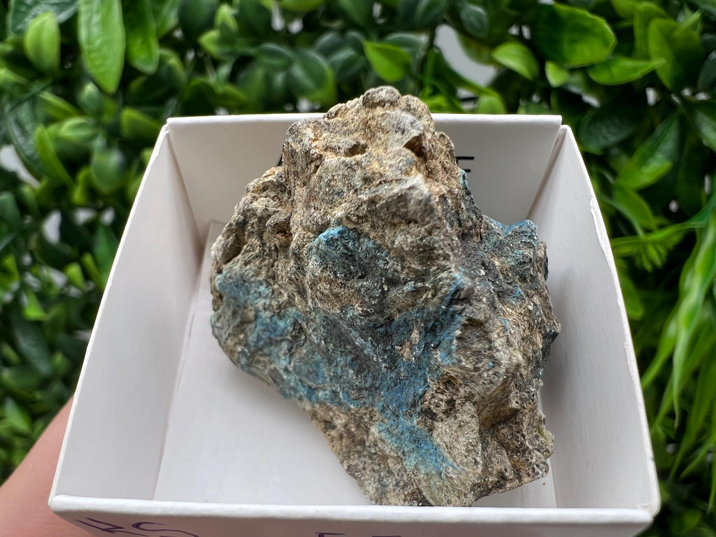 Rare Raw Aerinite Mineral Specimen: Collection Crystal from Lleida, Spain (3.5/3 CM)