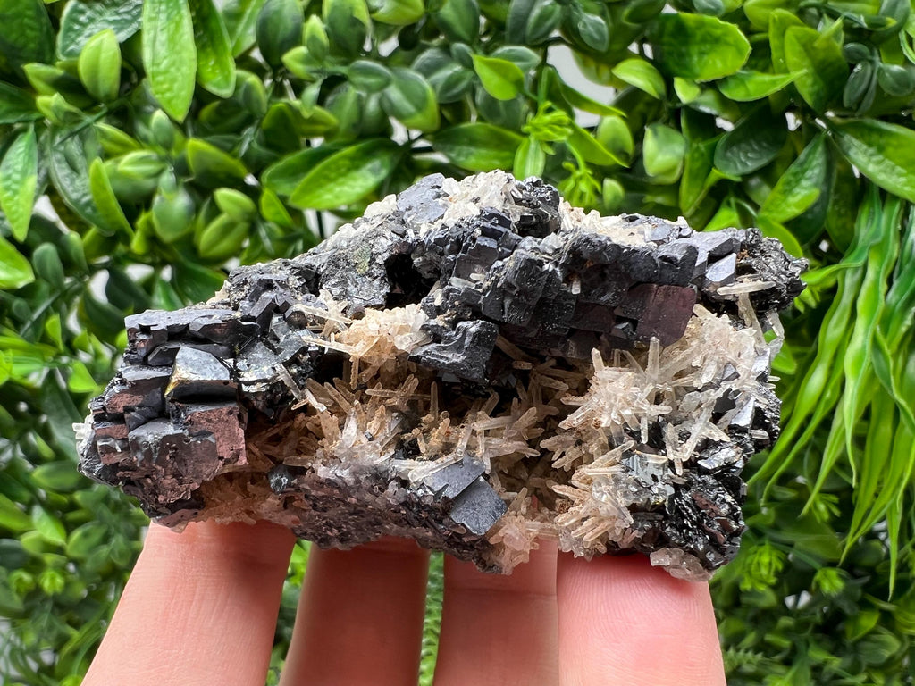 Galena Cluster with Siderite and Quartz, 9th September Mine, Bulgaria