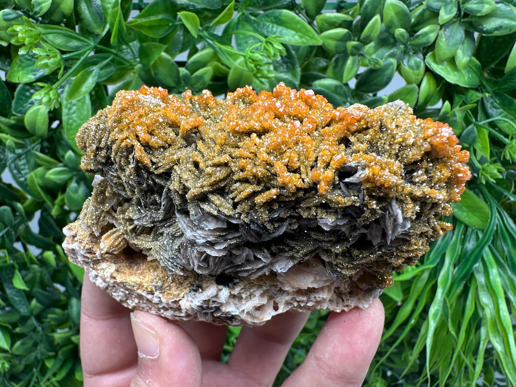 VERY Rare red Vanadinite on Barite whit Goethite from Marocco,crystal minerals Speciment cluster Vanadinite crystal Vanadinite Geology Vanad