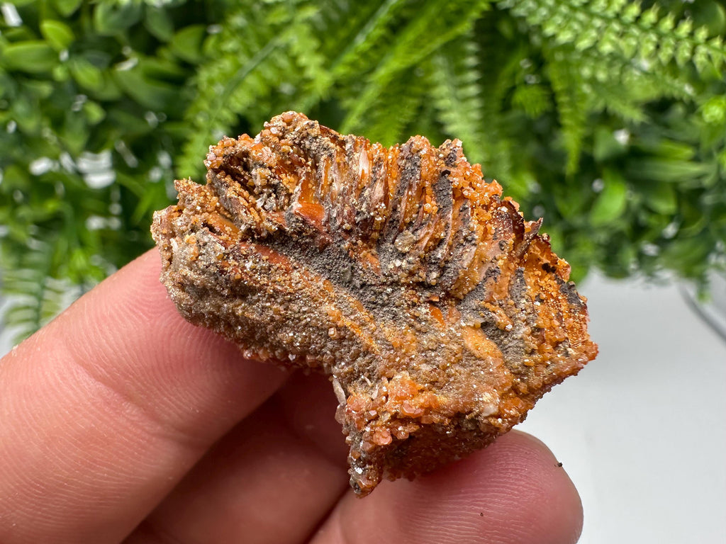 Red Vanadinite on Barite from Marocco,crystal minerals Speciment cluster Vanadinite crystal Vanadinite Geology Vanadinite cluster minerals