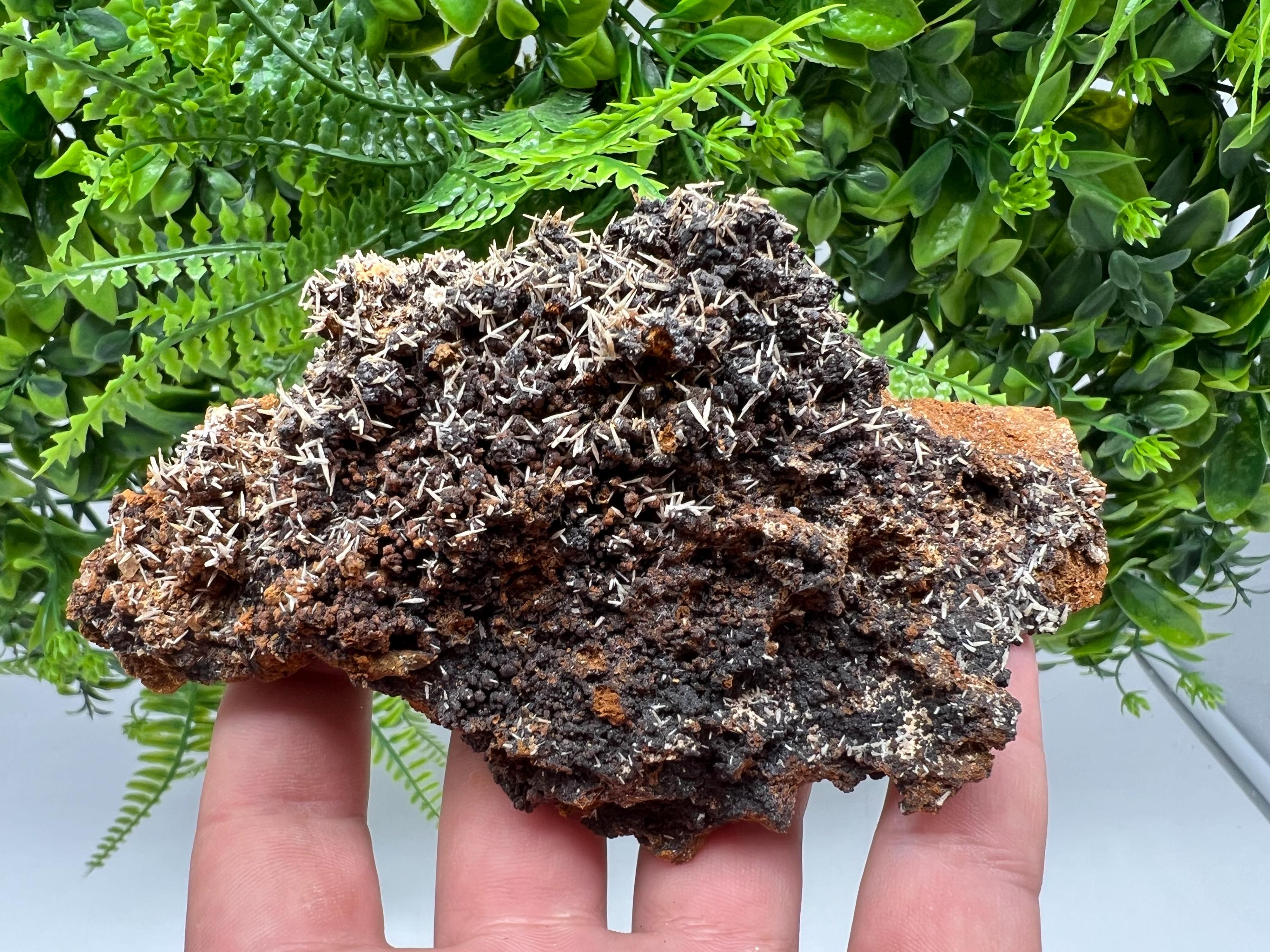 Rare Madjarovo Pyromorphite with Hematite on Quartz, Bulgaria