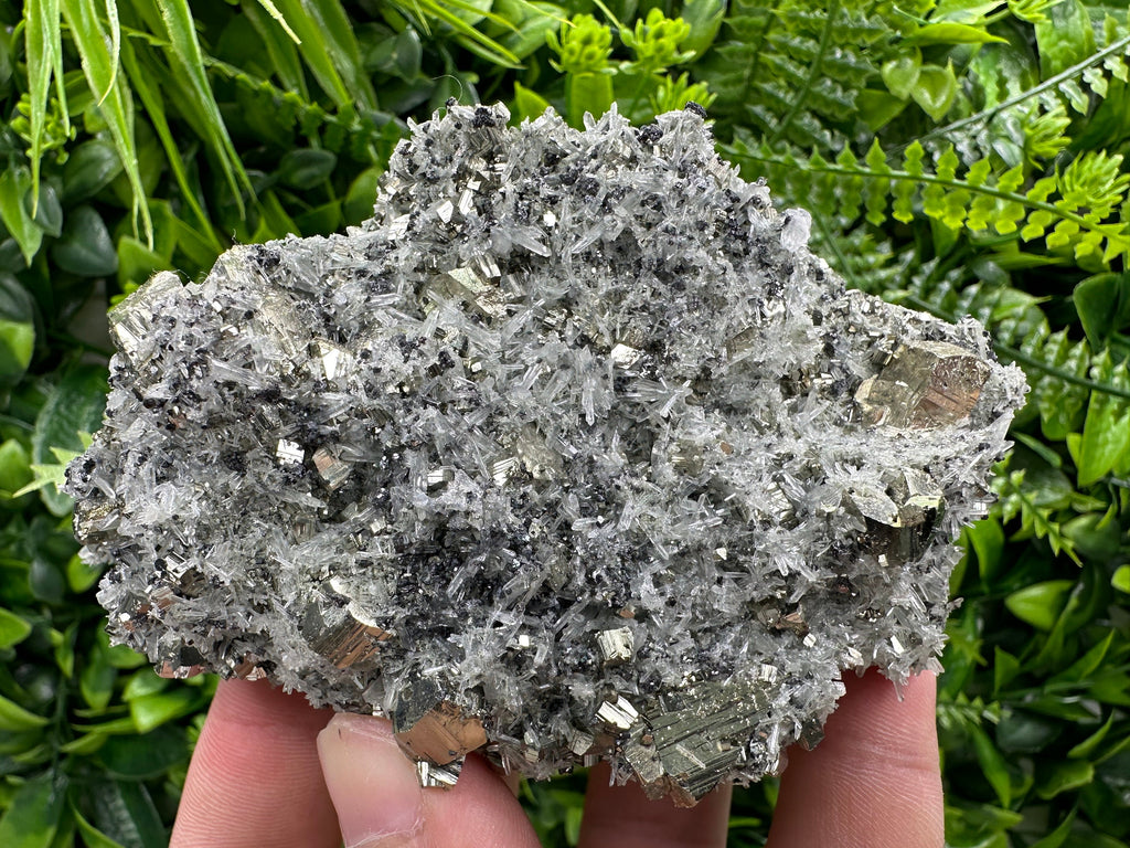 Pyrite on Quartz Needles: Borieva Mine Bulgaria Crystal Decor