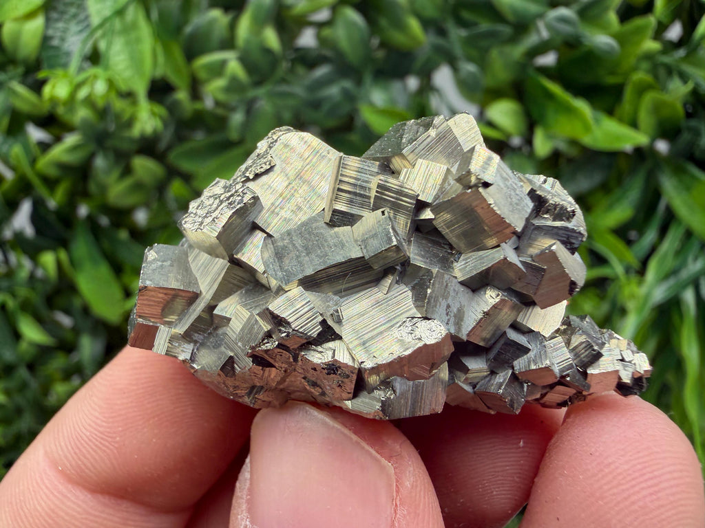 Rare Floating Pyrite Cluster, Fool’s Gold Crystal Decor