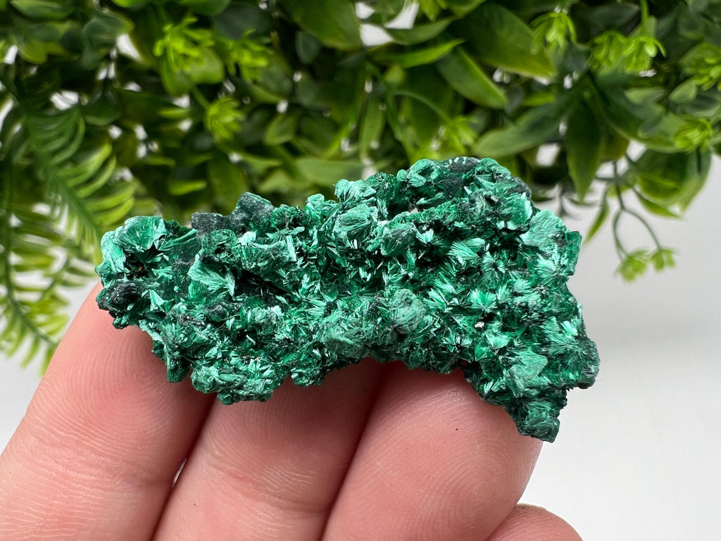 Malachite Crystal from Congo,Minerals,Crystals from Congo,Green Malachite, Malachite,Natural Malachite,Malachite Stone,Chakra, Specimens