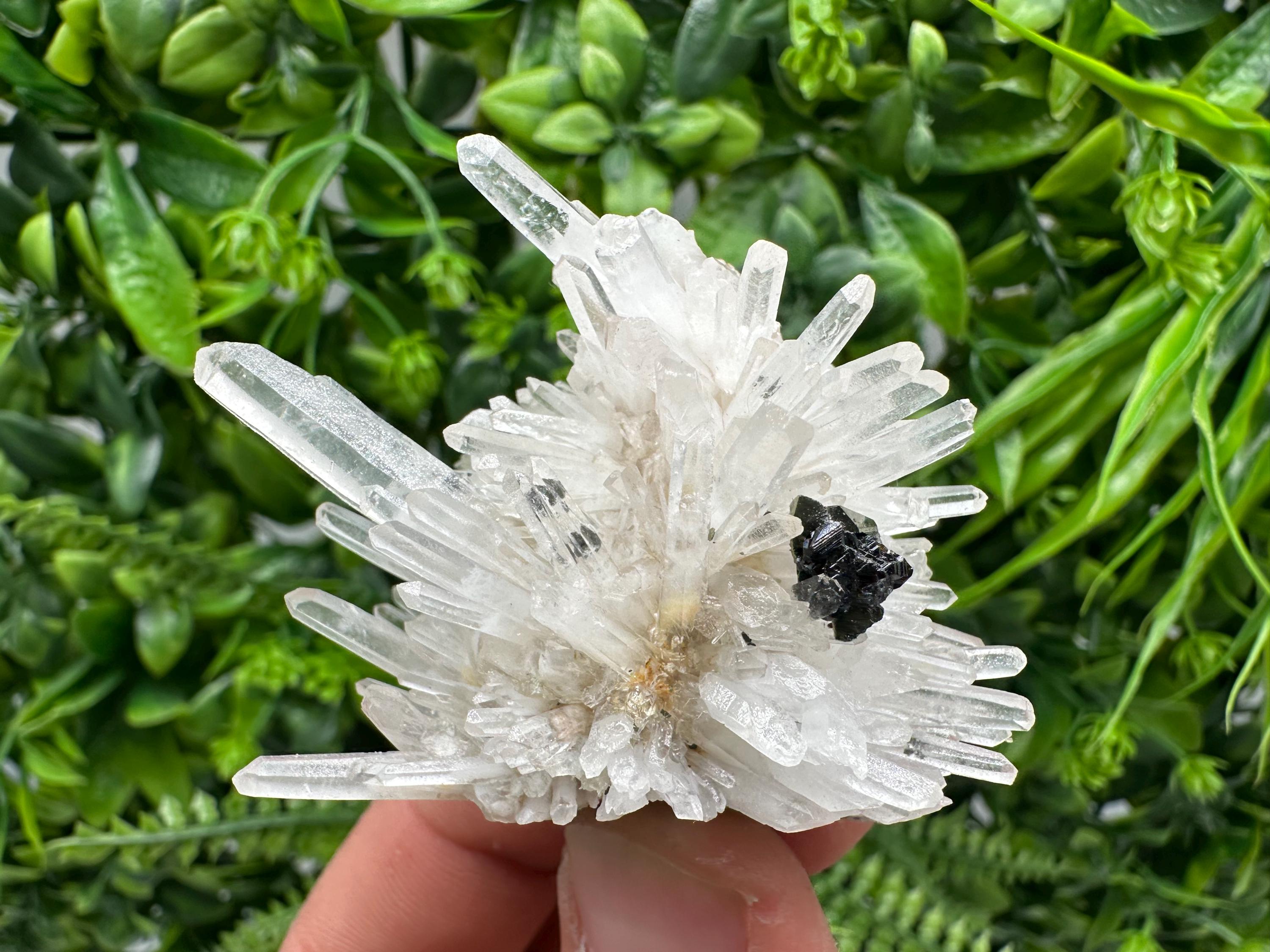 Quartz Sphalerite Chalcopyrite Mineral Specimen, Madan Bulgaria