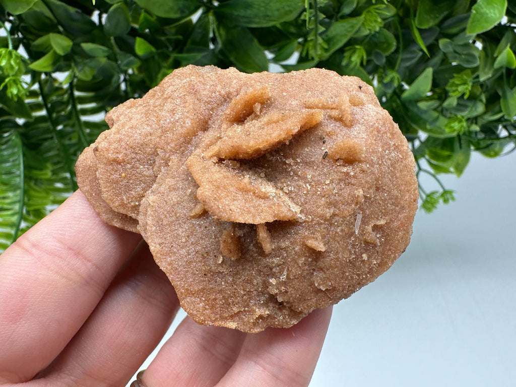 Natural Desert Rose Crystal – Root Chakra Healing Selenite Stone