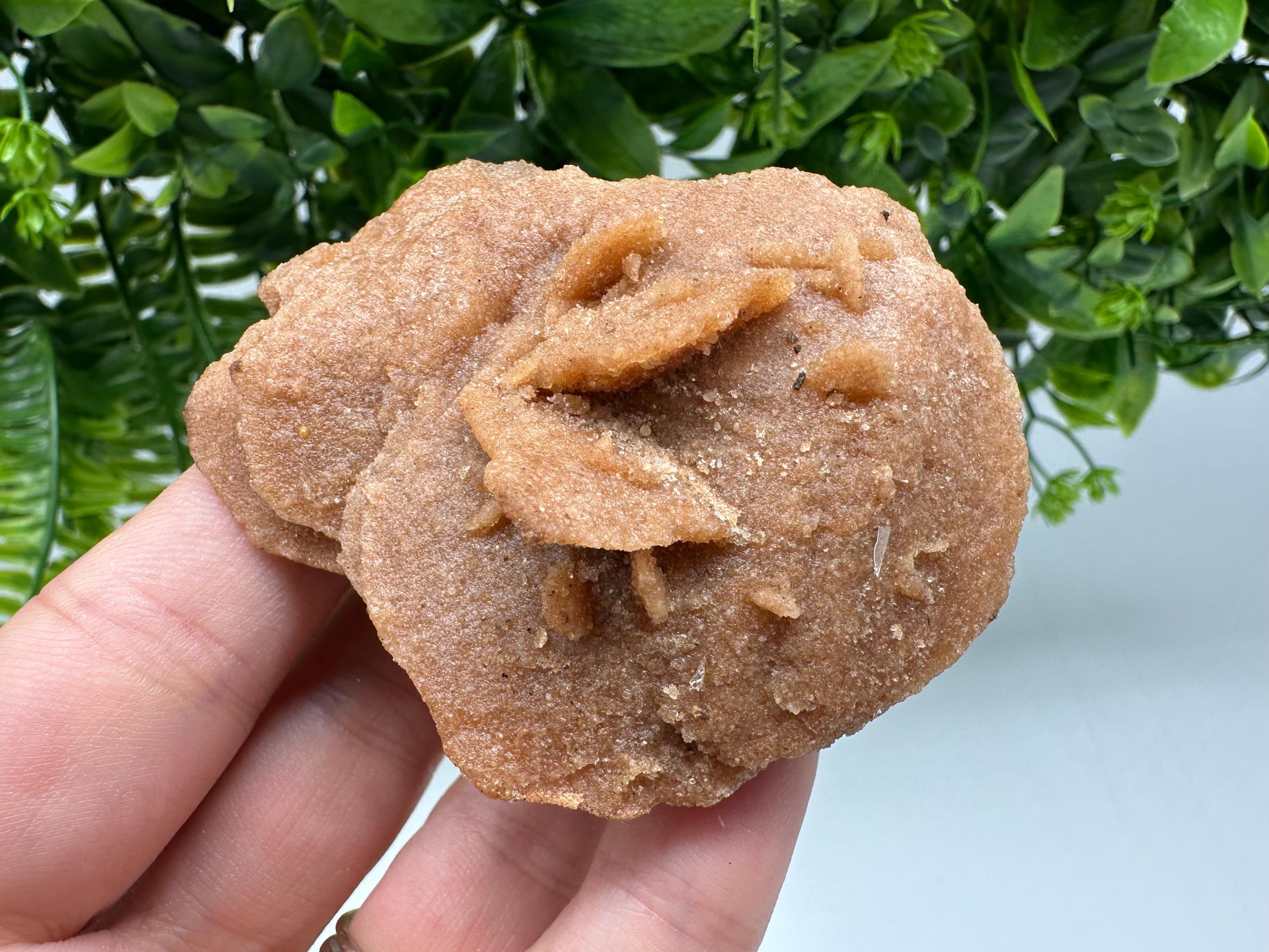 Natural Desert Rose Crystal – Root Chakra Healing Selenite Stone