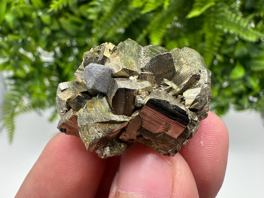 Rare crystallisation Pyrite,Borieva mine,Bulgaria,floating Pyrite,golden Pyrite,Pyrite cluster,mini Collection specimen,Rainbow Pyrite