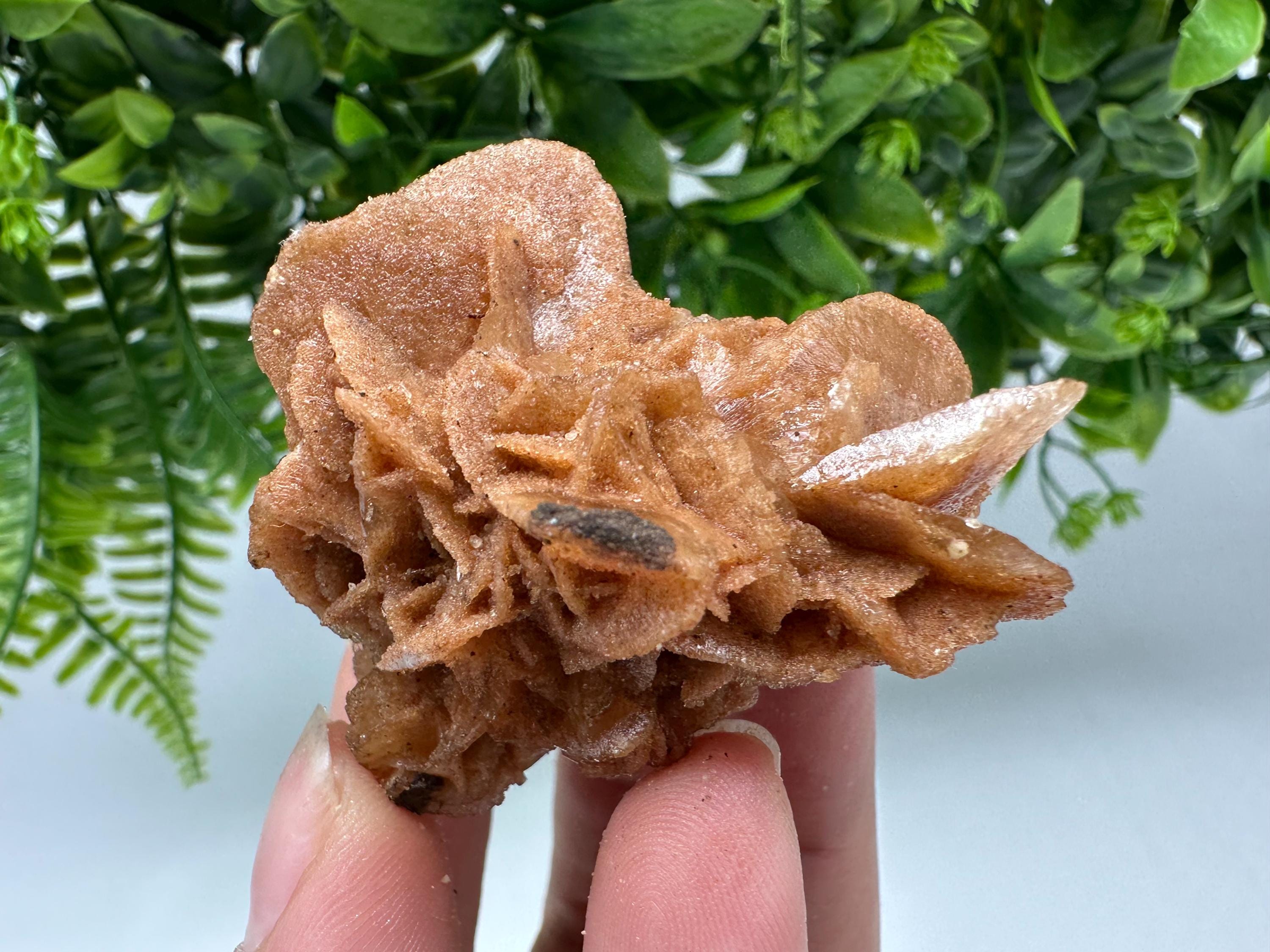 Desert Rose Crystal: Root Chakra Healing Selenite Stone