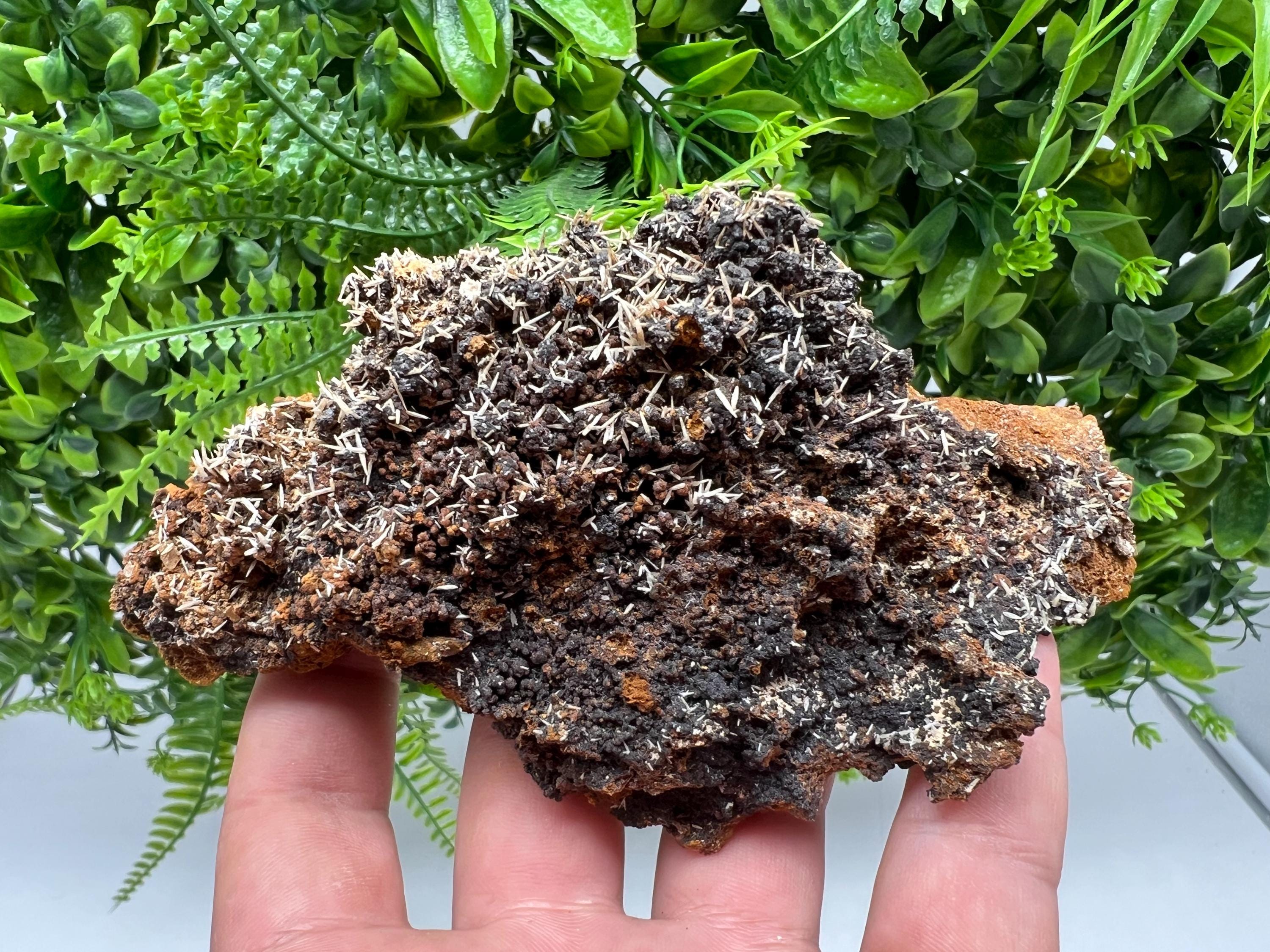 Rare Madjarovo Pyromorphite with Hematite on Quartz, Bulgaria