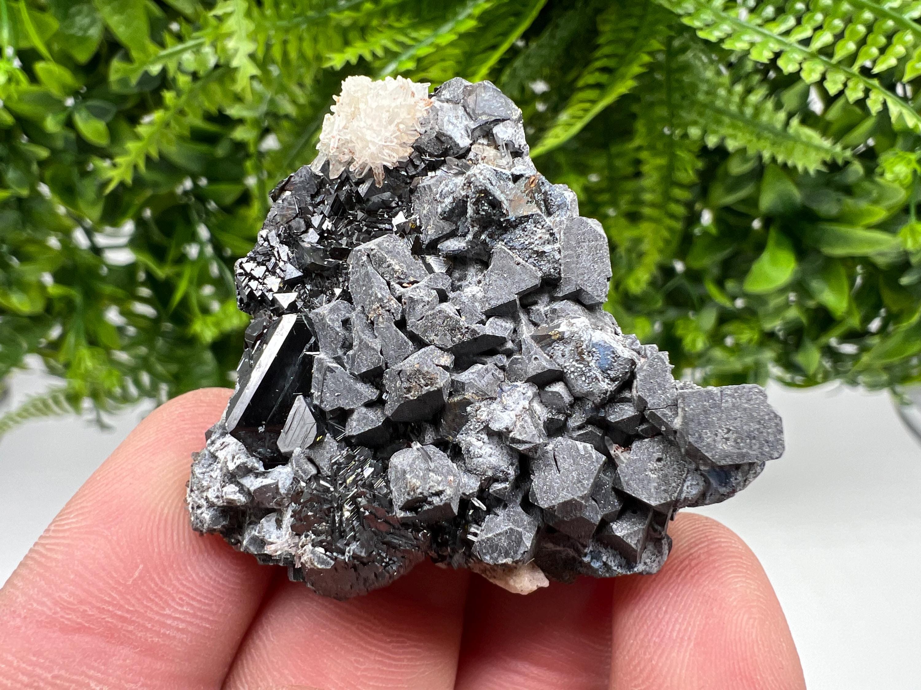 Shiny Galena Cluster with Siderite and Quartz, Bulgaria Mineral Specimen