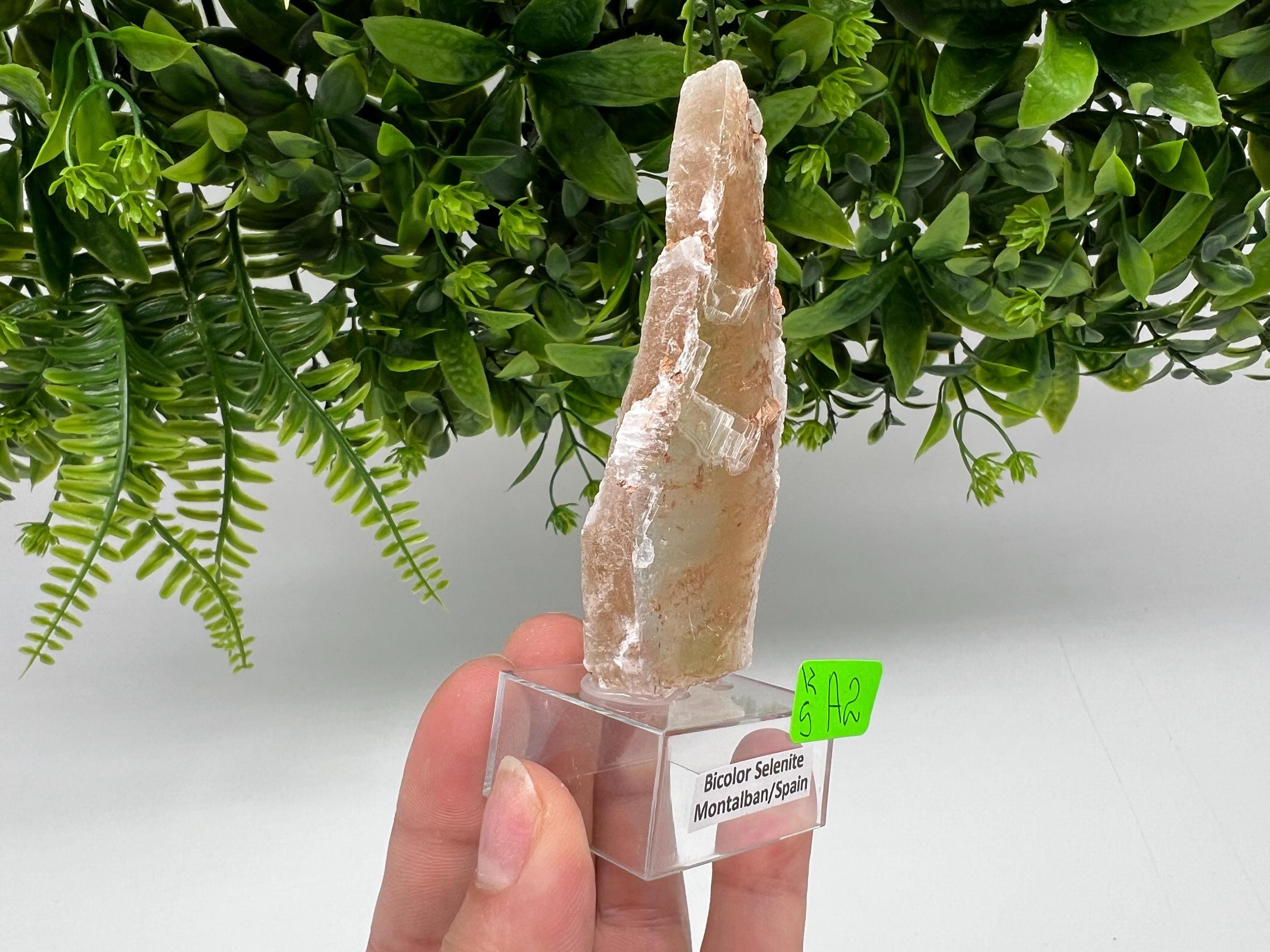 Golden Phantom Selenite Slab: Utah Raw Crystal Wand (4.5/9cm)