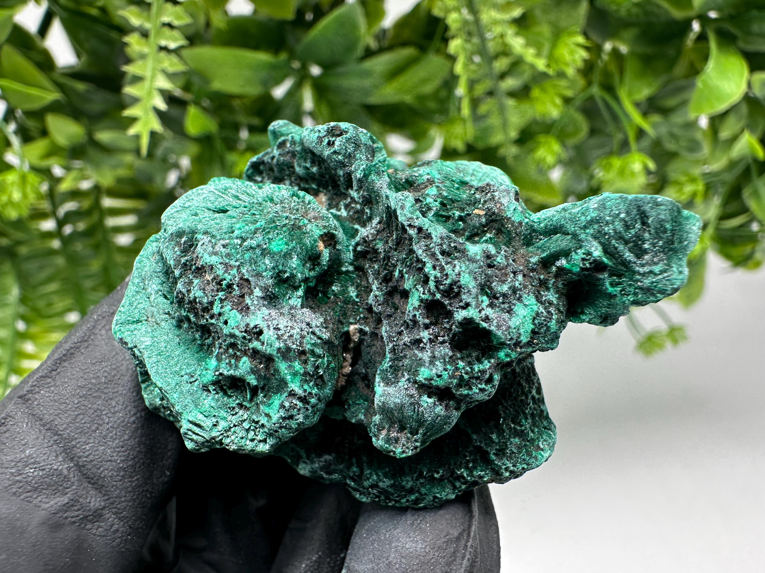 Malachite Crystal from Congo,Minerals,Crystals from Congo,Green Malachite, Malachite,Natural Malachite,Malachite Stone,Chakra, Specimens