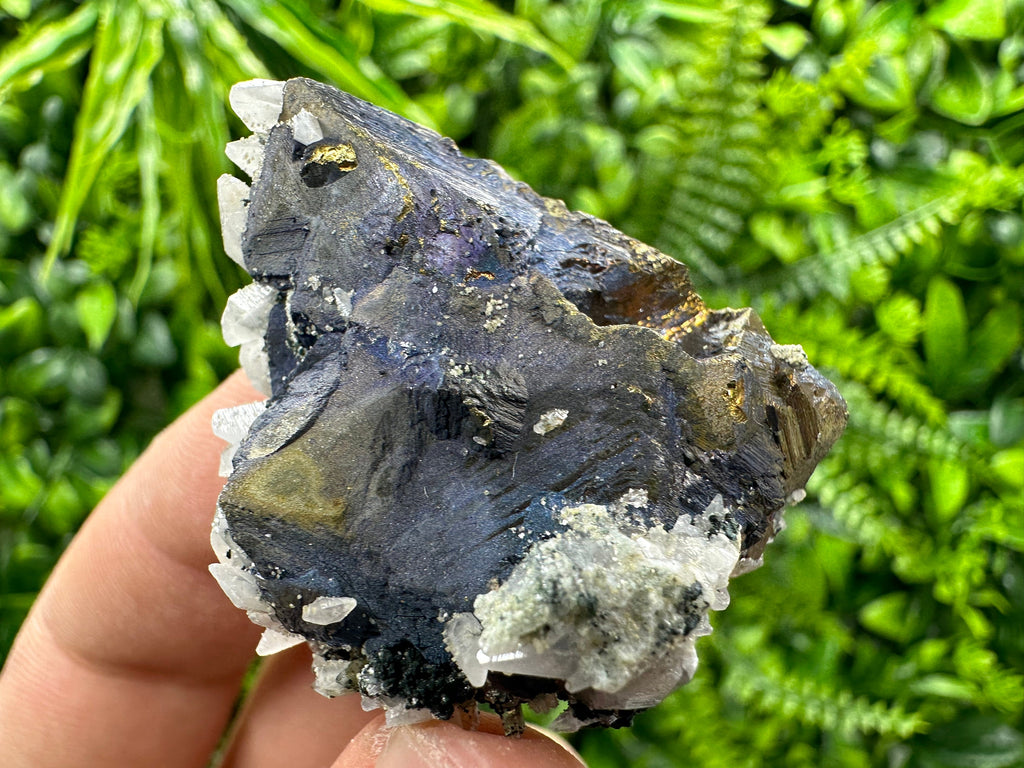 Chalcopyrite Borinite Covelline Mineral Specimen: Djurcovo Mine, Bulgaria
