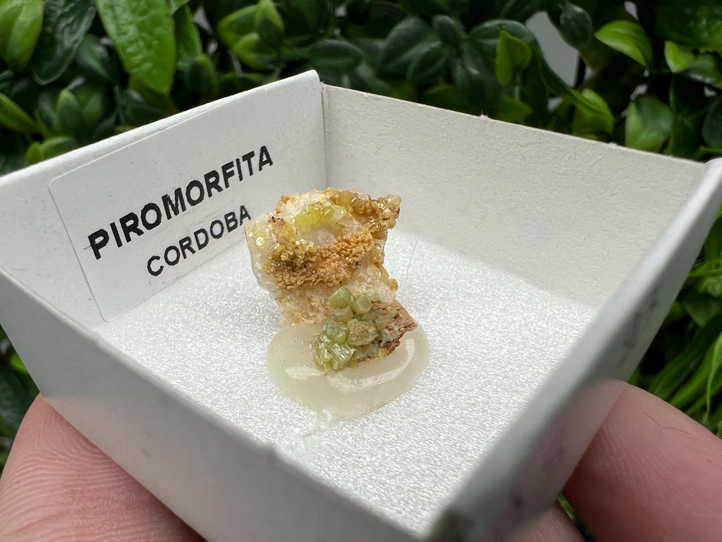 Pyromorphite Stone / Pyromorphite on Matrix / Pyromorphite Crystal / Raw Crystal / Pyromorphite Cluster / Rough Pyromorphite / Pyromorphite