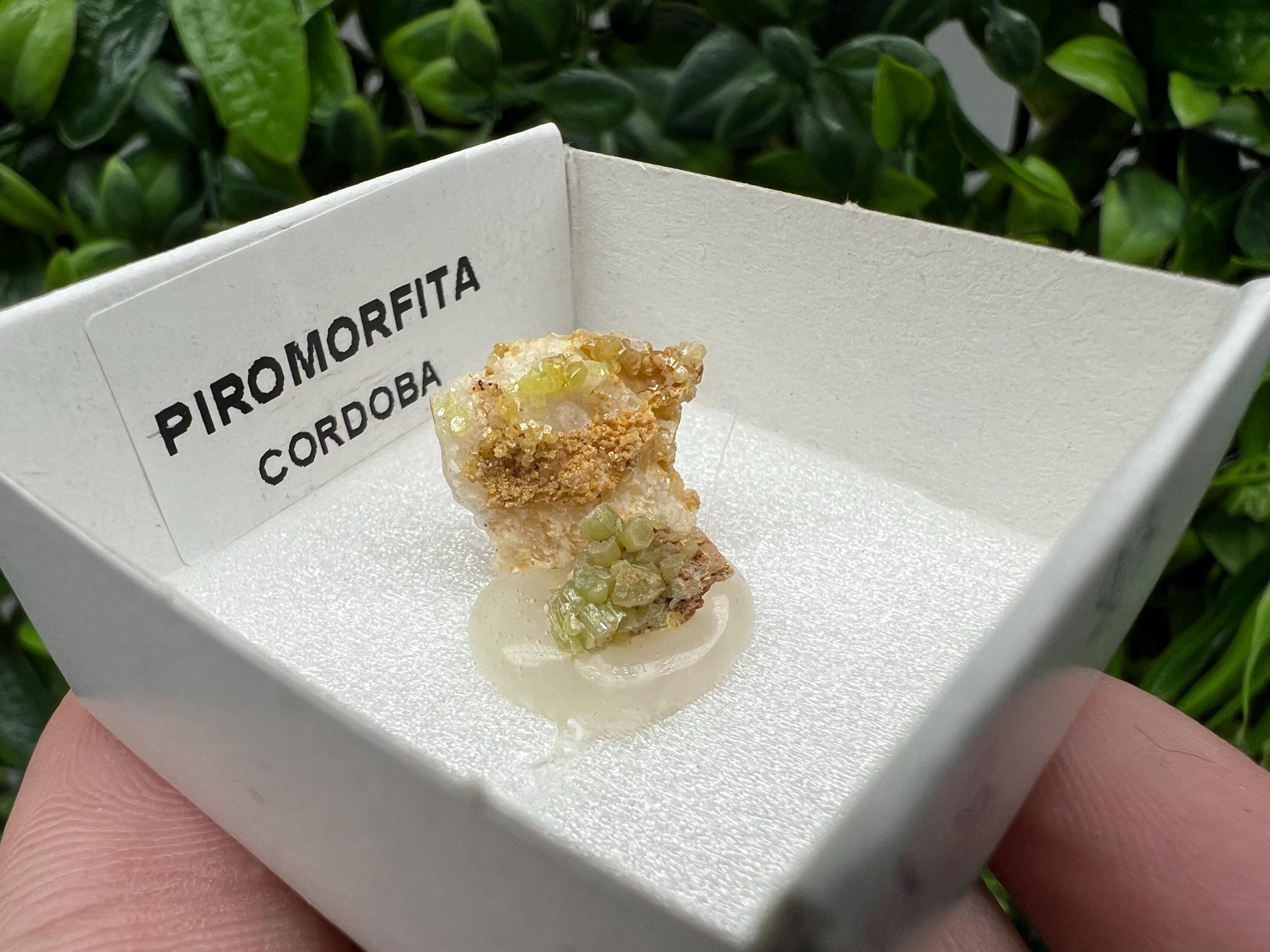 Pyromorphite Stone / Pyromorphite on Matrix / Pyromorphite Crystal / Raw Crystal / Pyromorphite Cluster / Rough Pyromorphite / Pyromorphite