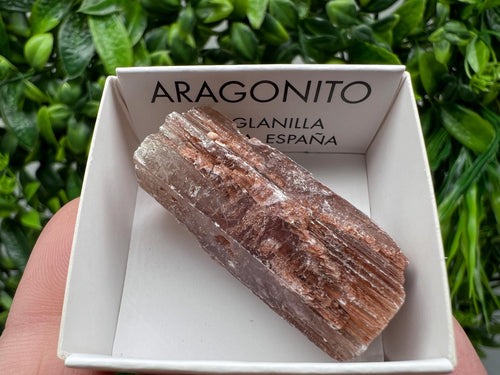Amazing Aragonite from Spain,Aragonite crystal,cluster,natural,mineral,specimen,Purple Aragonite,Spanish Aragonite,Mineralcollection
