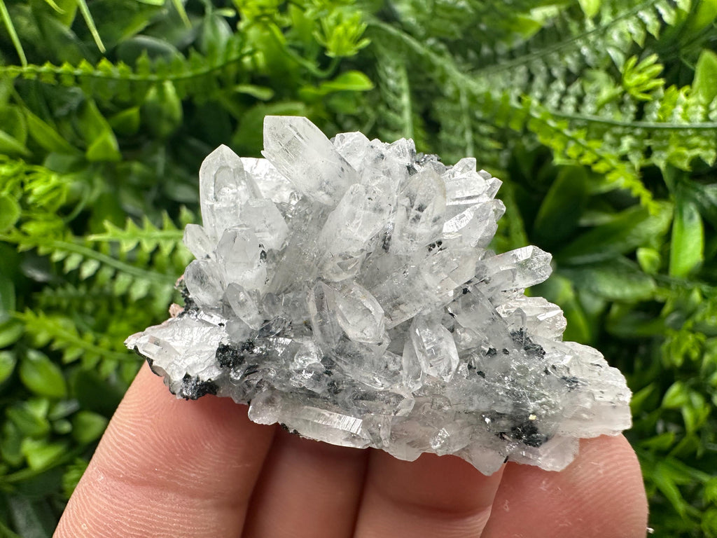 Transparent Quartz Cluster, Borieva Mine, Rare Crystal Specimen