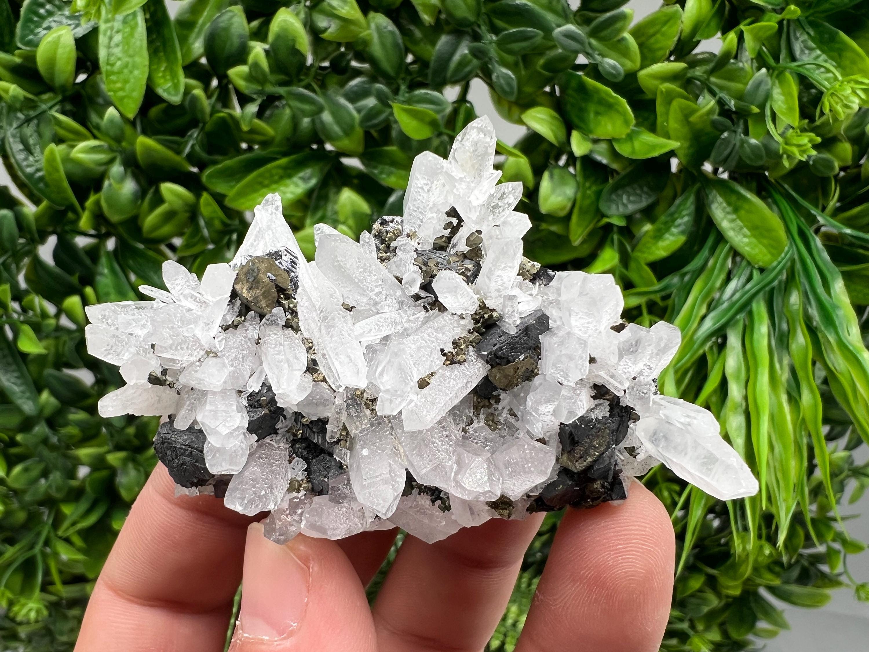 Wonderful Sphalerite Chalcopyrite on Green Quartz whit Hematite feom 9 th September mine,Bulgaria,natural,collection mineral specimen,gift