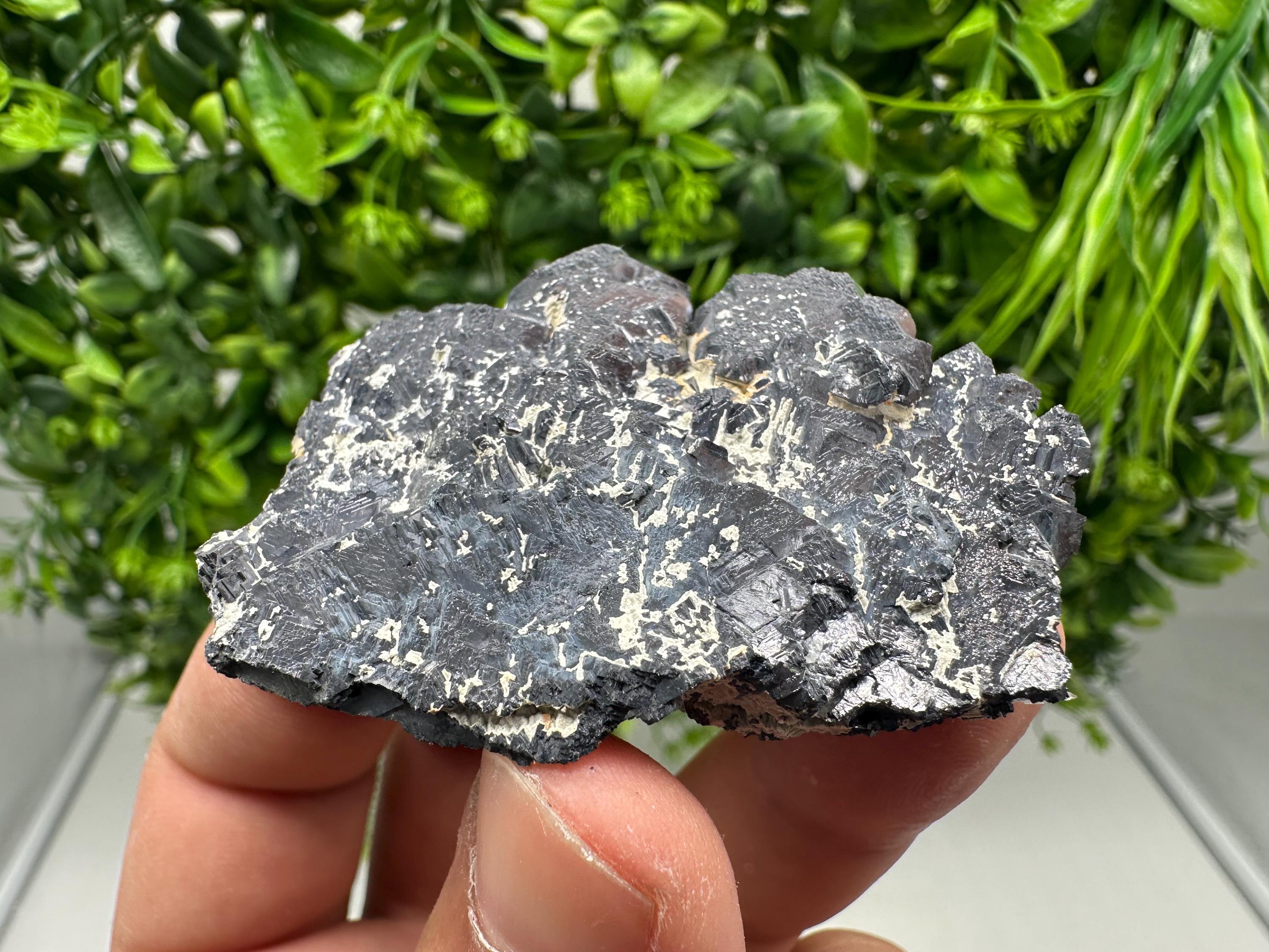 Galena Spinel Law Mineral Specimen: Krushev Dol, Bulgaria