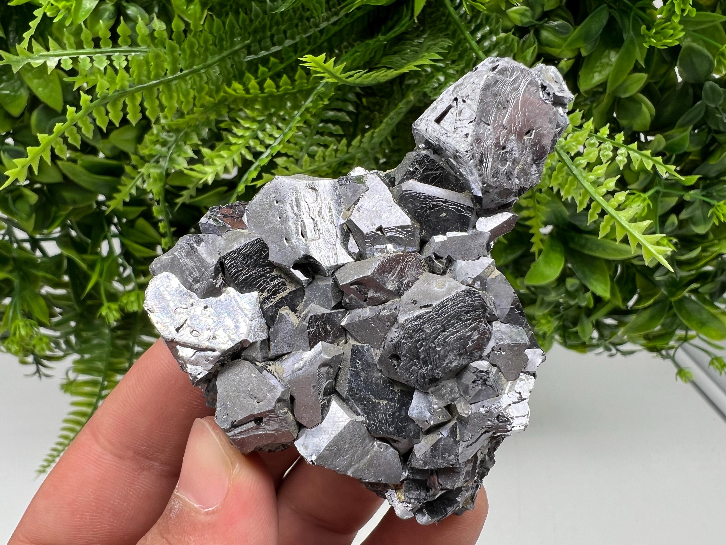 Mirror Galena Mineral Specimen: Rare Crystal from Krushev dol Mine