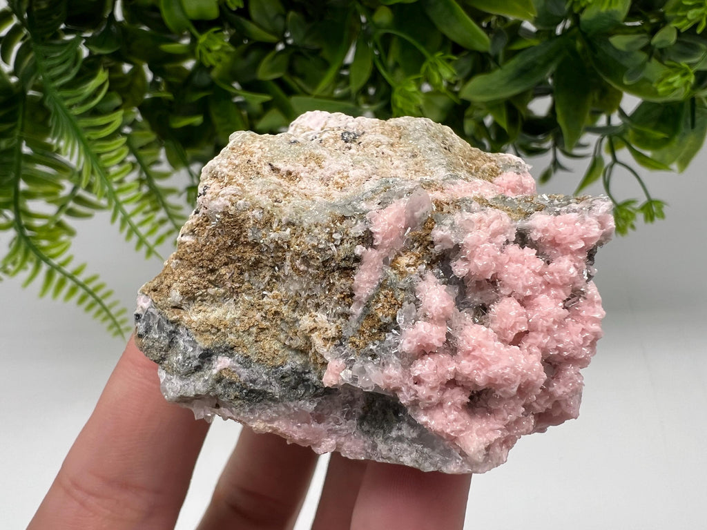 Beautiful Rhodochrosite perfect pink colour Starnica Mine Davidcovo Bulgaria natural minerals souvenir crystal gift home decor stone gift