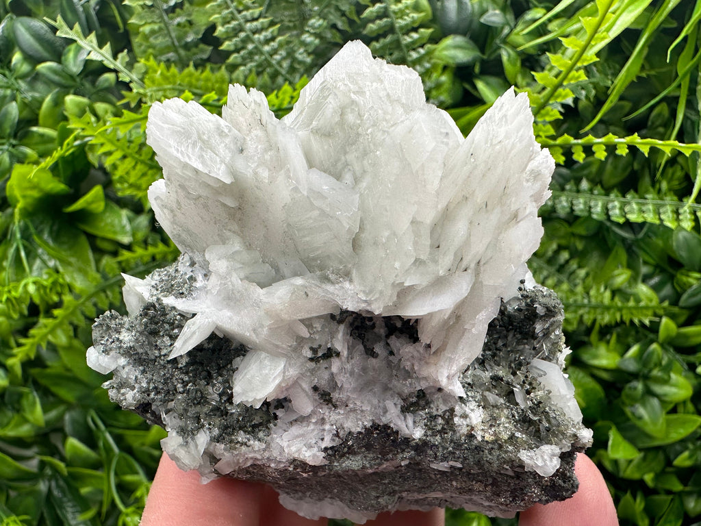 Calcite on Quartz with Epidote Mineral Specimen: Borieva Mine, Bulgaria