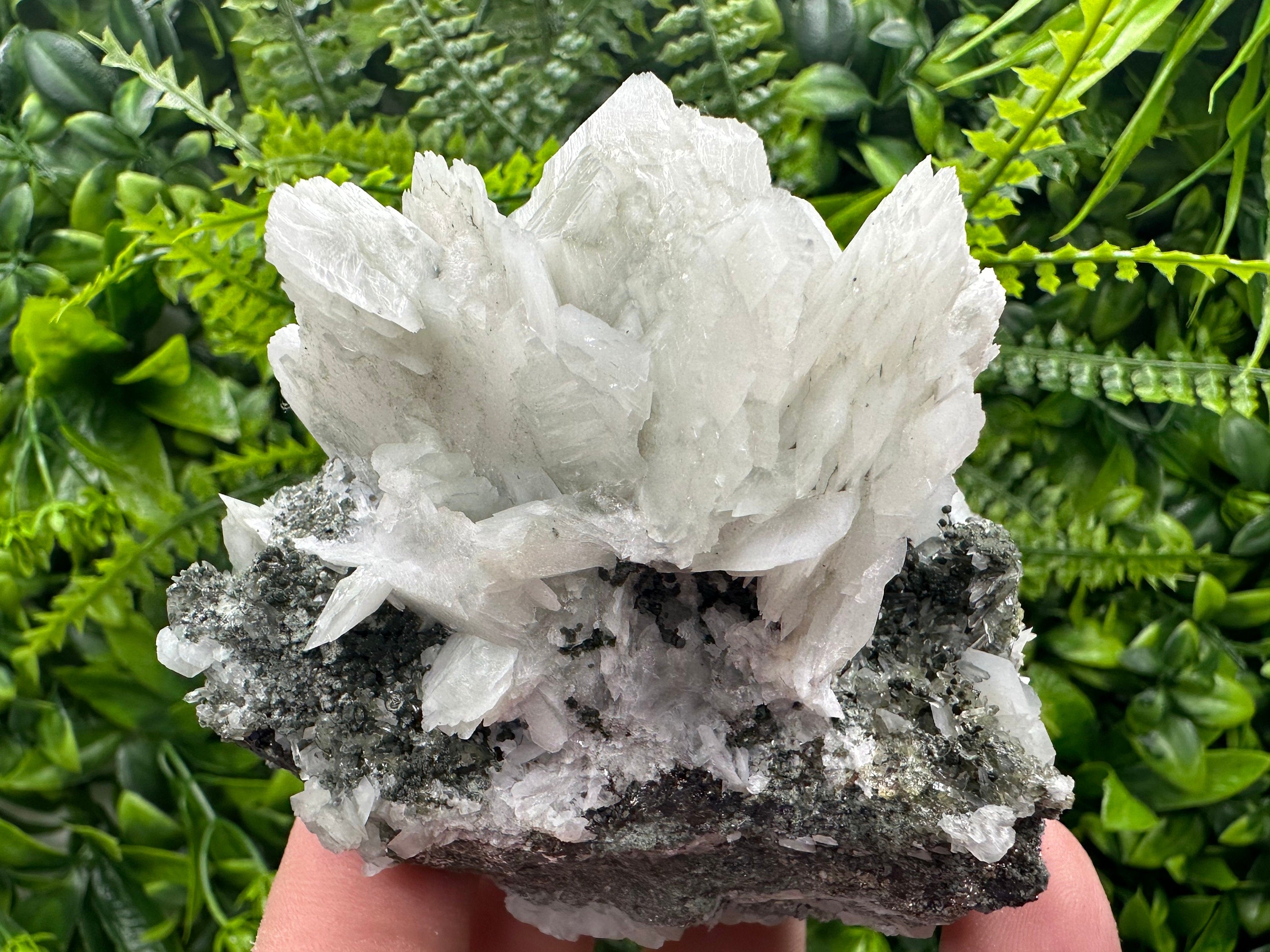 Calcite on Quartz with Epidote Mineral Specimen: Borieva Mine, Bulgaria