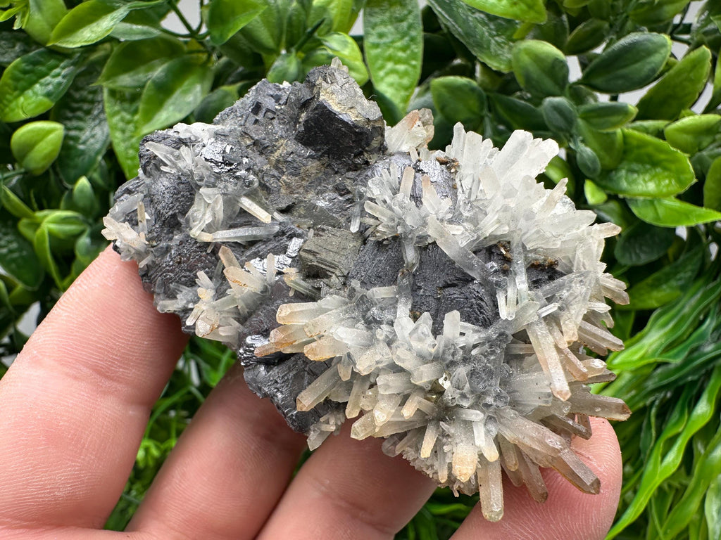 Galena, Sphalerite, Chalcopyrite, and Quartz Mineral Specimen, Djurcovo Mine