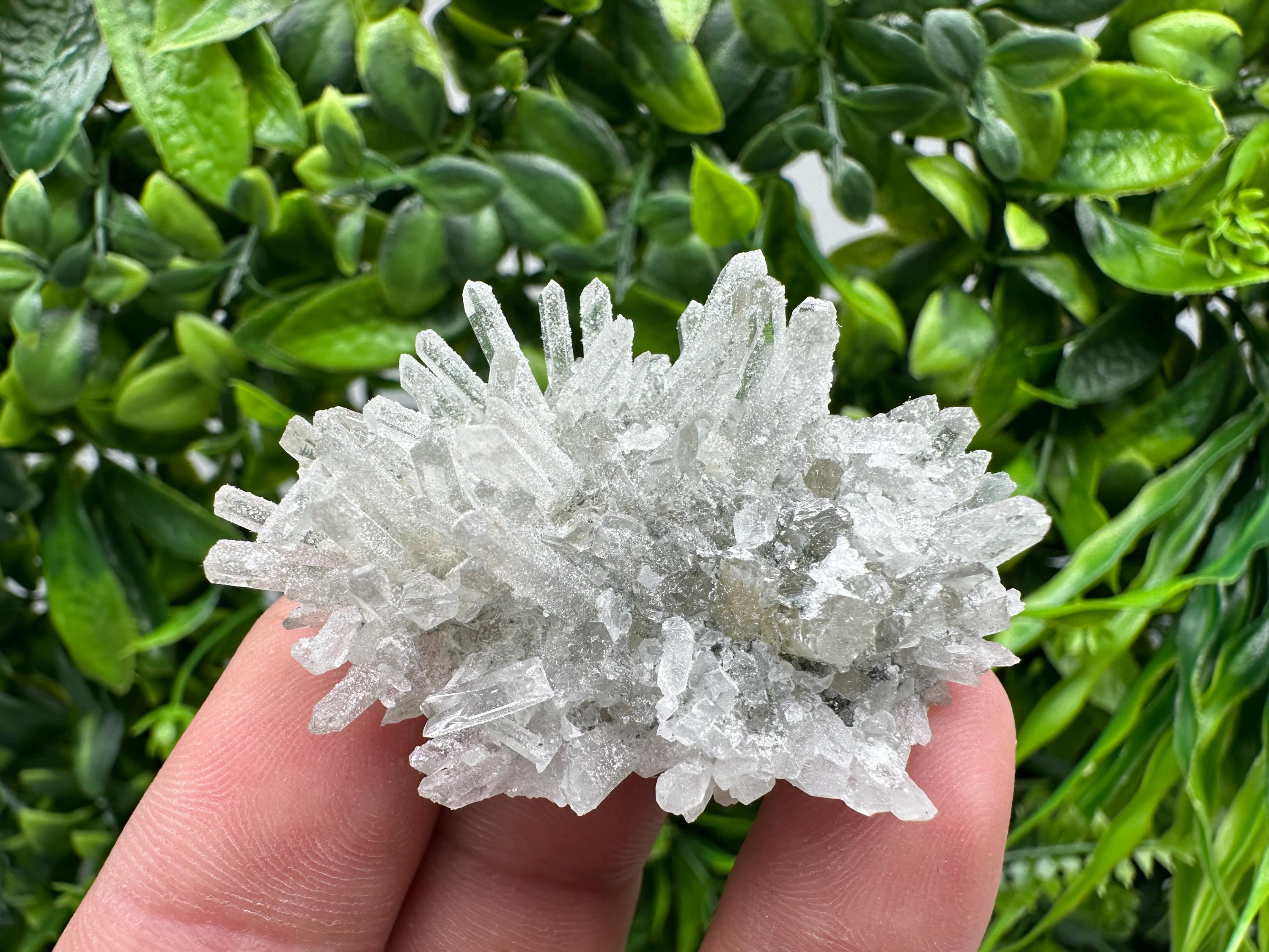 Transparent Quartz on Chlorite Matrix, Borieva Mine, Bulgaria