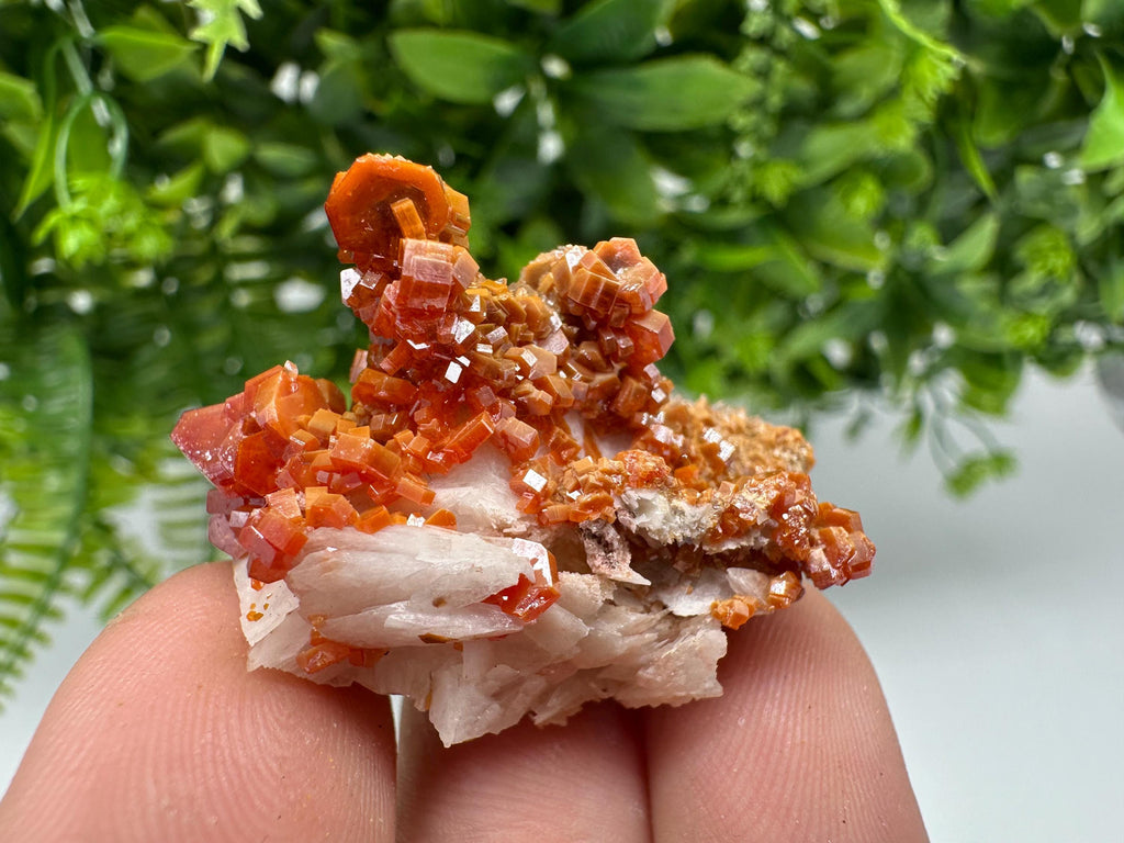 Red Vanadinite on Barite Specimen, Morocco Crystal Cluster