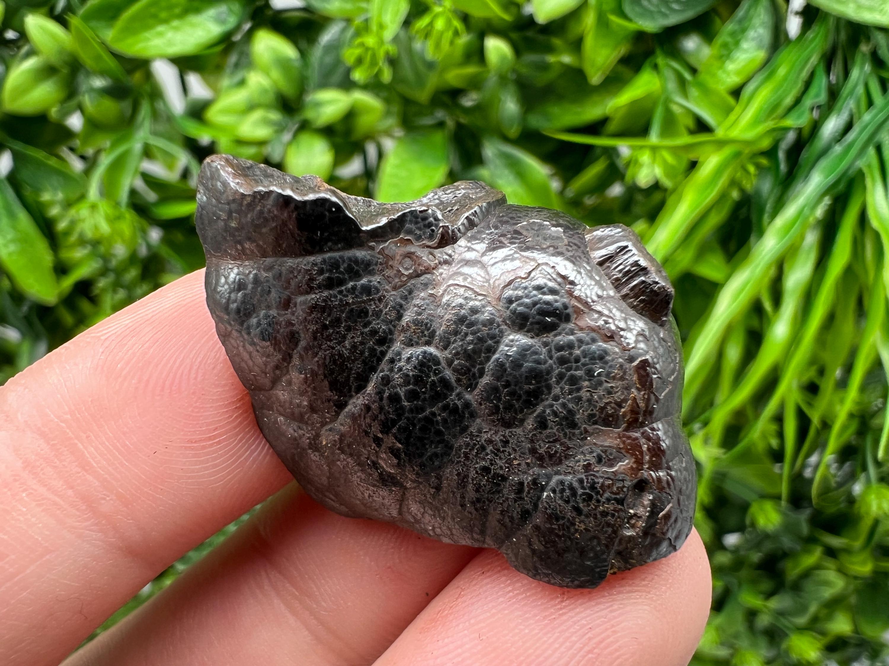 Botryoidal Black Hematite Specimen: Moroccan Crystal, Reiki Chakra Stone