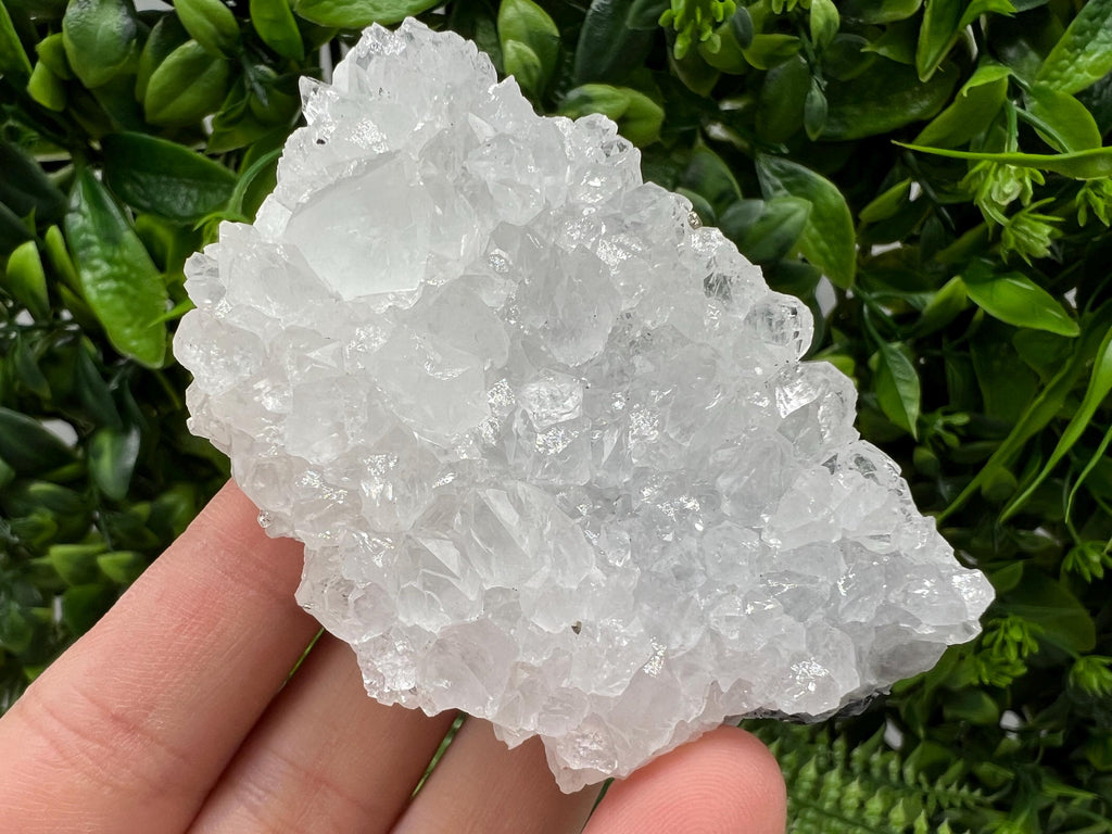 Transparent Quartz on Chlorite Matrix, Borieva Mine, Bulgaria