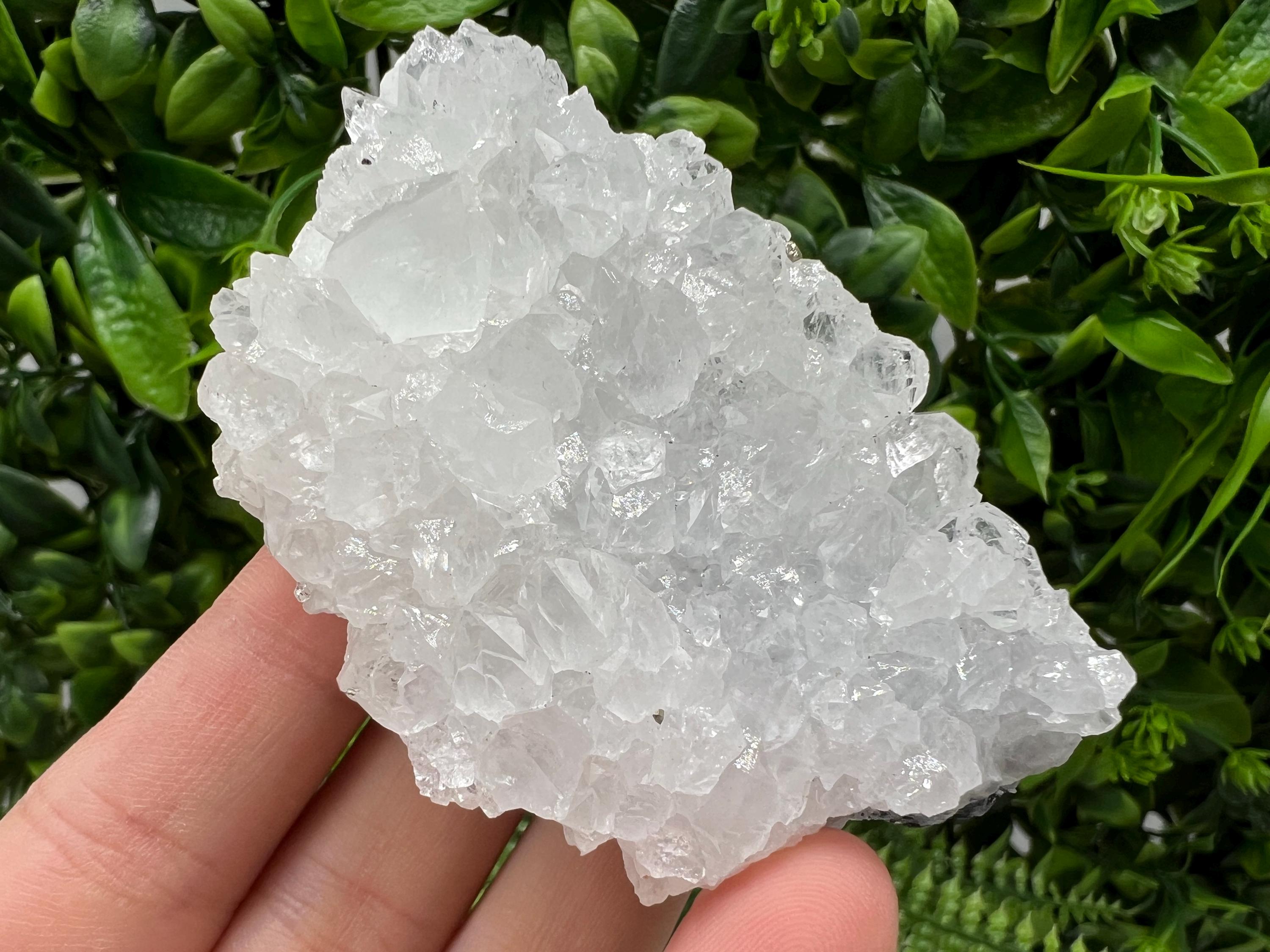 Transparent Quartz on Chlorite Matrix, Borieva Mine, Bulgaria