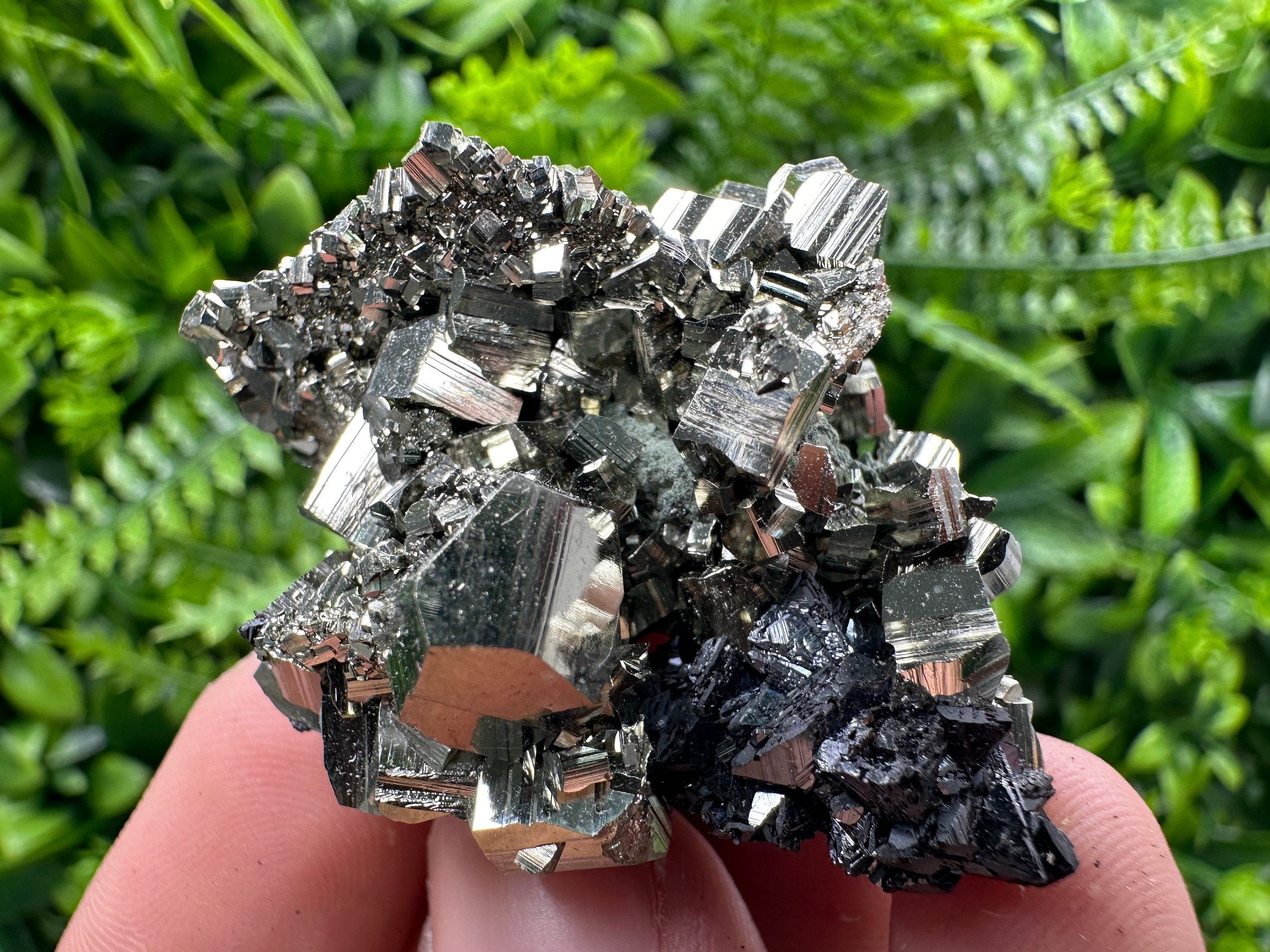 Golden Pyrite with Sphalerite Mineral Specimen, Borieva Mine, Bulgaria
