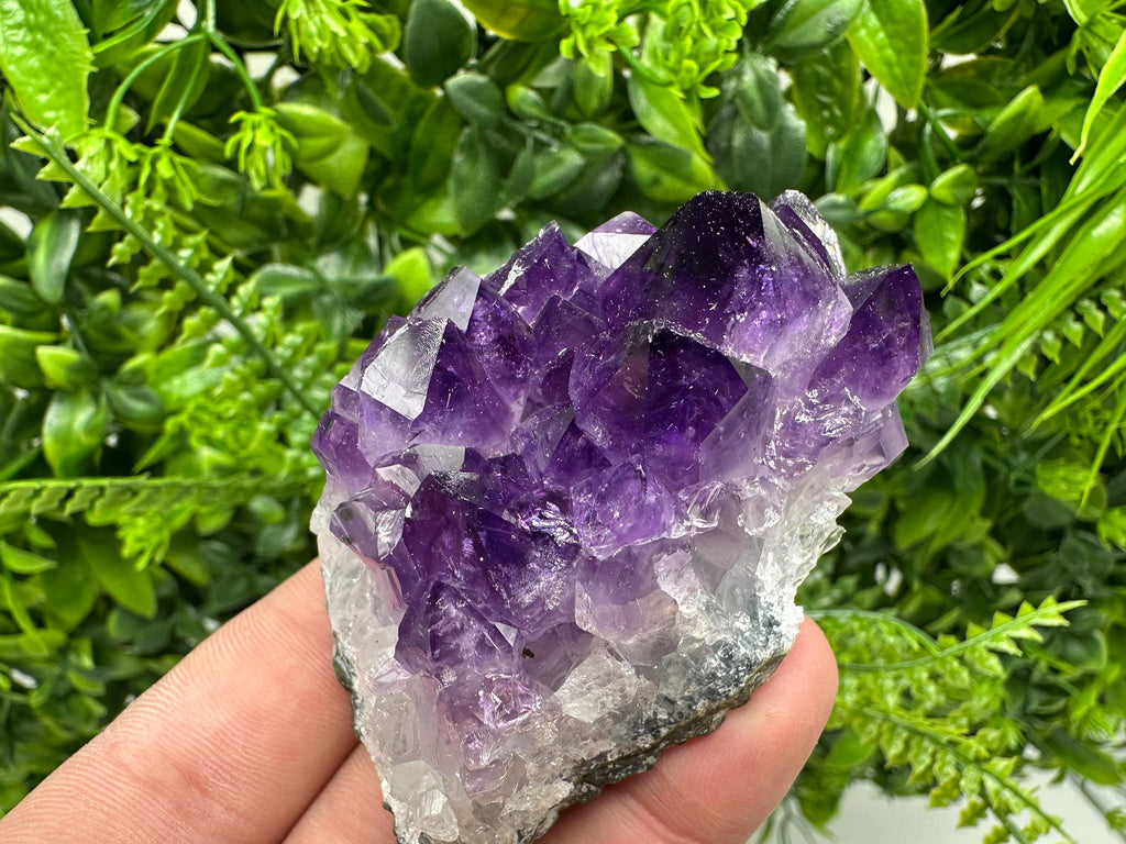 Uruguay Amethyst Cluster: Purple Quartz Crystal, Home Decor