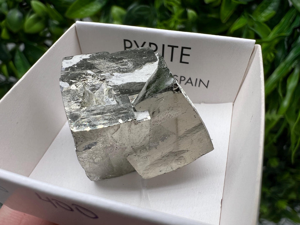 Navajun Pyrite Cube: Interjoined Gold Mineral Specimen, La Rioja Spain