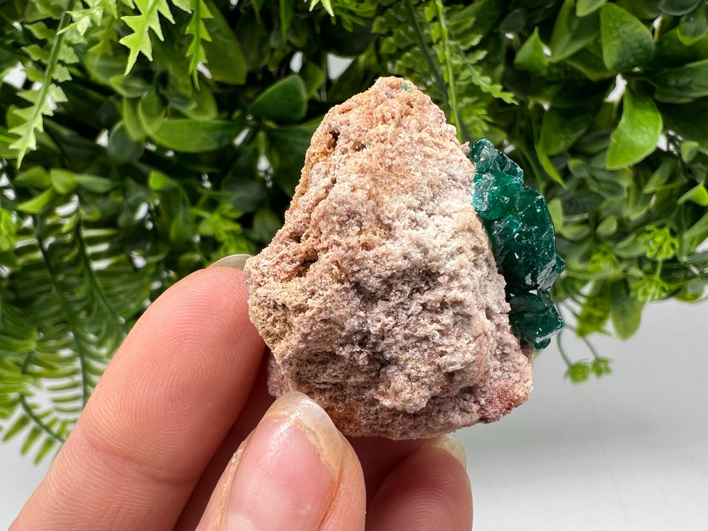 Stunning Green Dioptase from Sanda Hills,Mindouli,Pool Department,Mindouli District,Congo,green Dioptase,Dioptas Crystal,Dioptase collecting