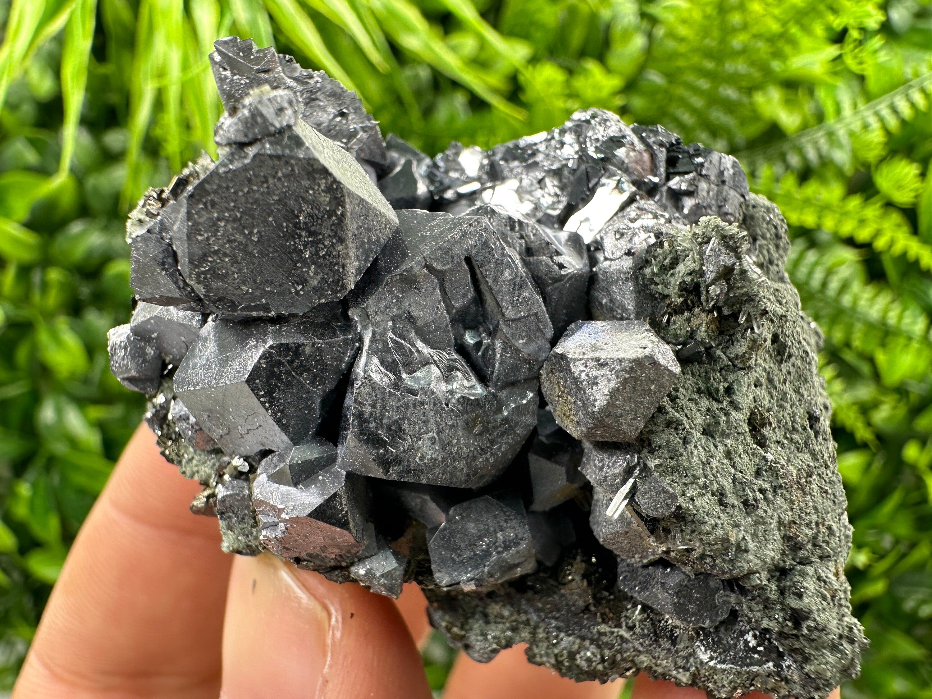 Shiny Galena with Chlorite, Borieva Mine Bulgaria, Mineral Specimen