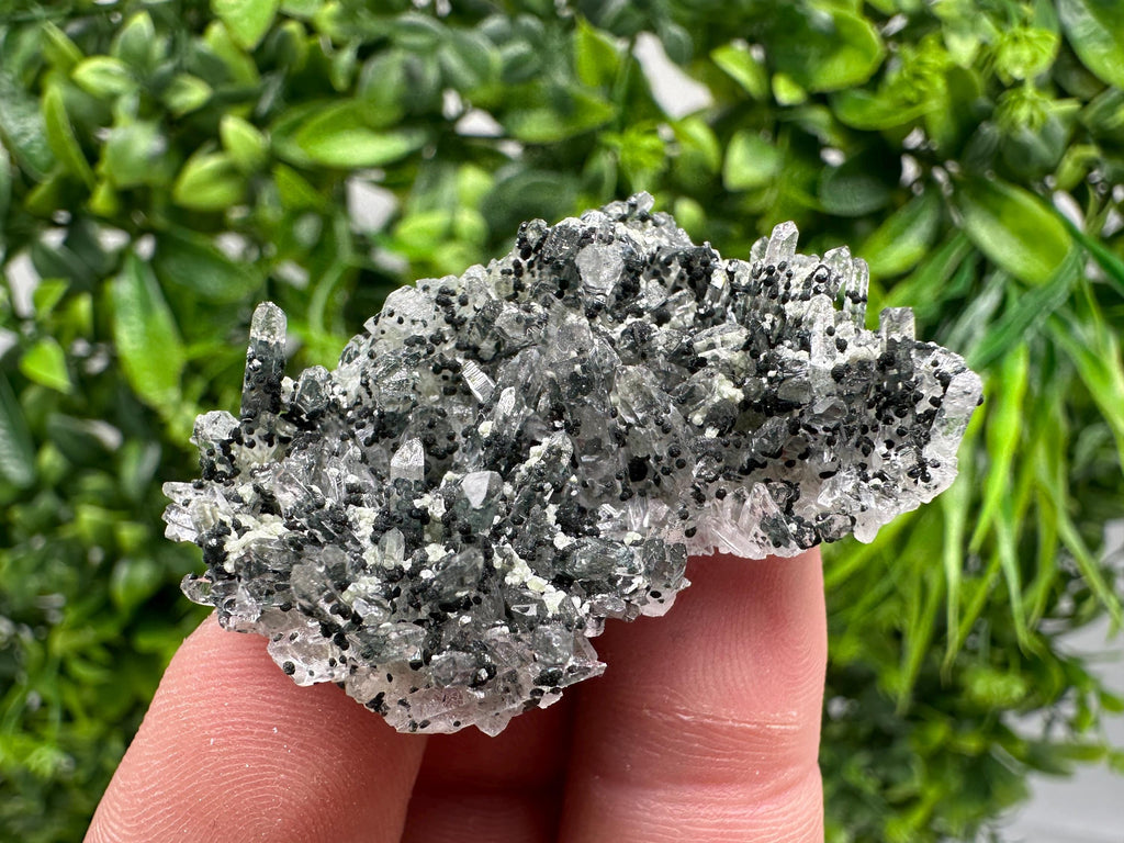 Chlorite Quartz Mineral Specimen, Borieva Mine, Bulgaria