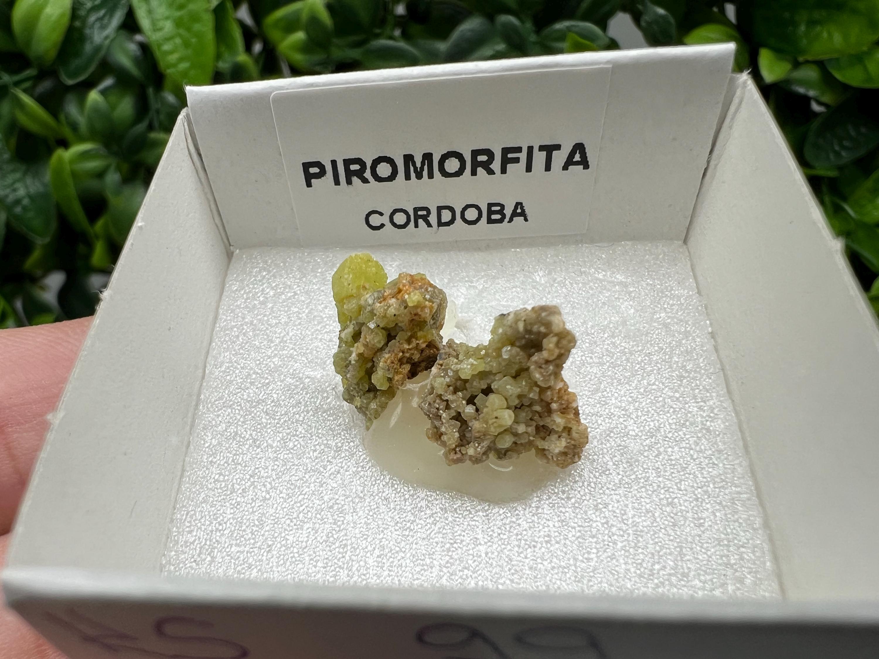 Pyromorphite Stone / Pyromorphite on Matrix / Pyromorphite Crystal / Raw Crystal / Pyromorphite Cluster / Rough Pyromorphite / Pyromorphite