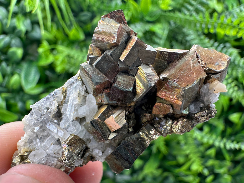 Pyrite on Quartz Specimen, Borieva Mine, Bulgaria