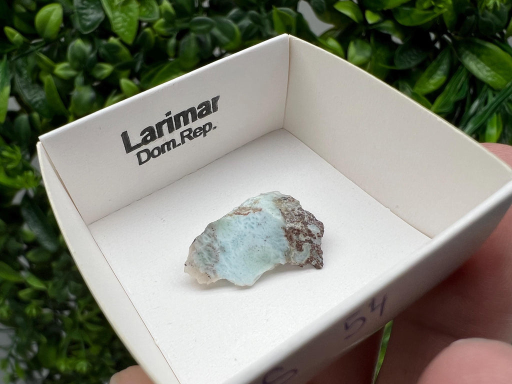Rare Raw Larimar Specimen: Dominican Republic Crystal (25/15mm)