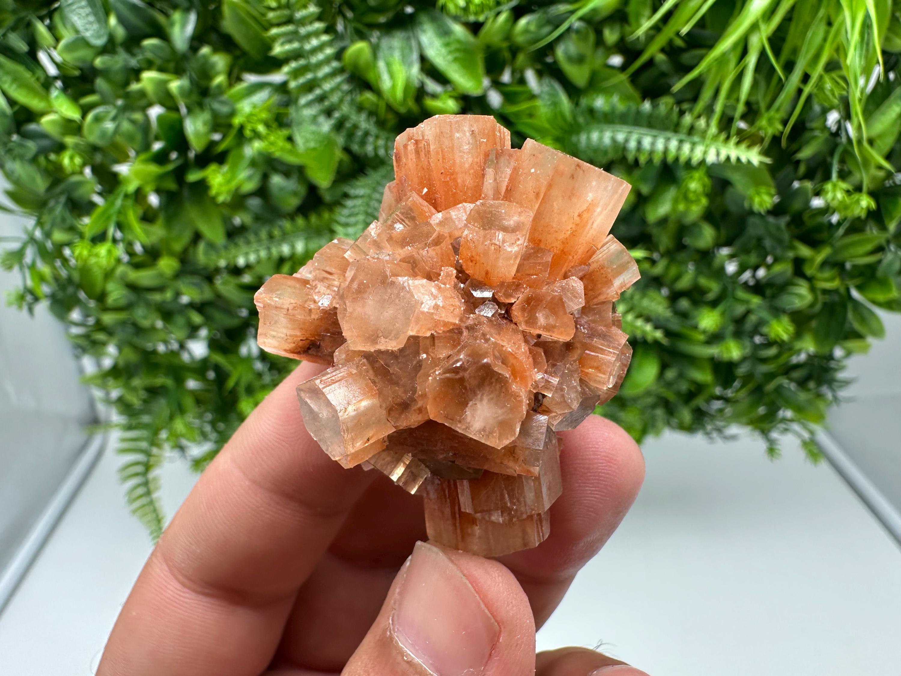 Aragonite Sputnik Cluster: Raw Moroccan Crystal Stone, Home Decor